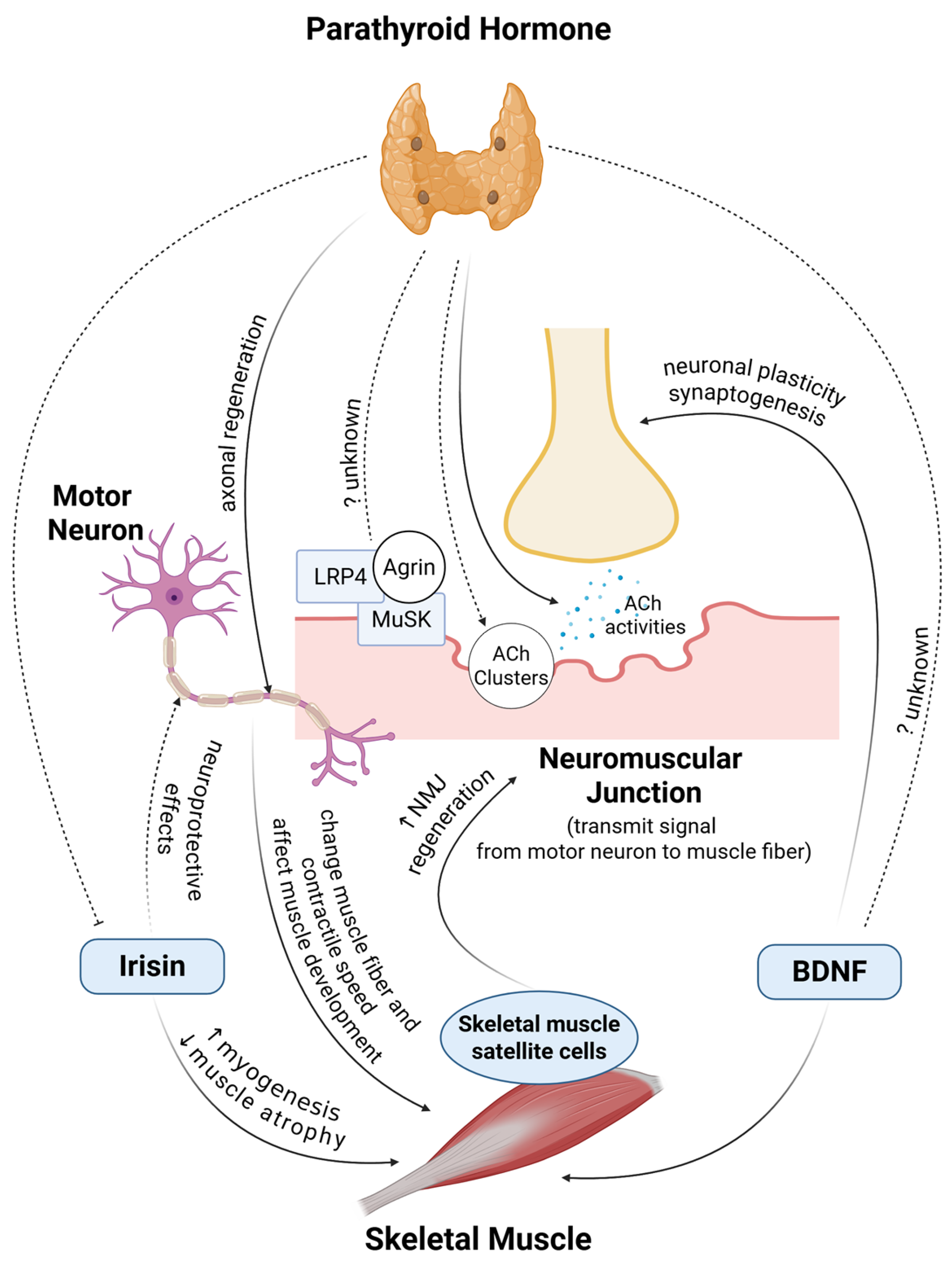 Ijms 26 07060 g002 Ijms 26 07060 g002