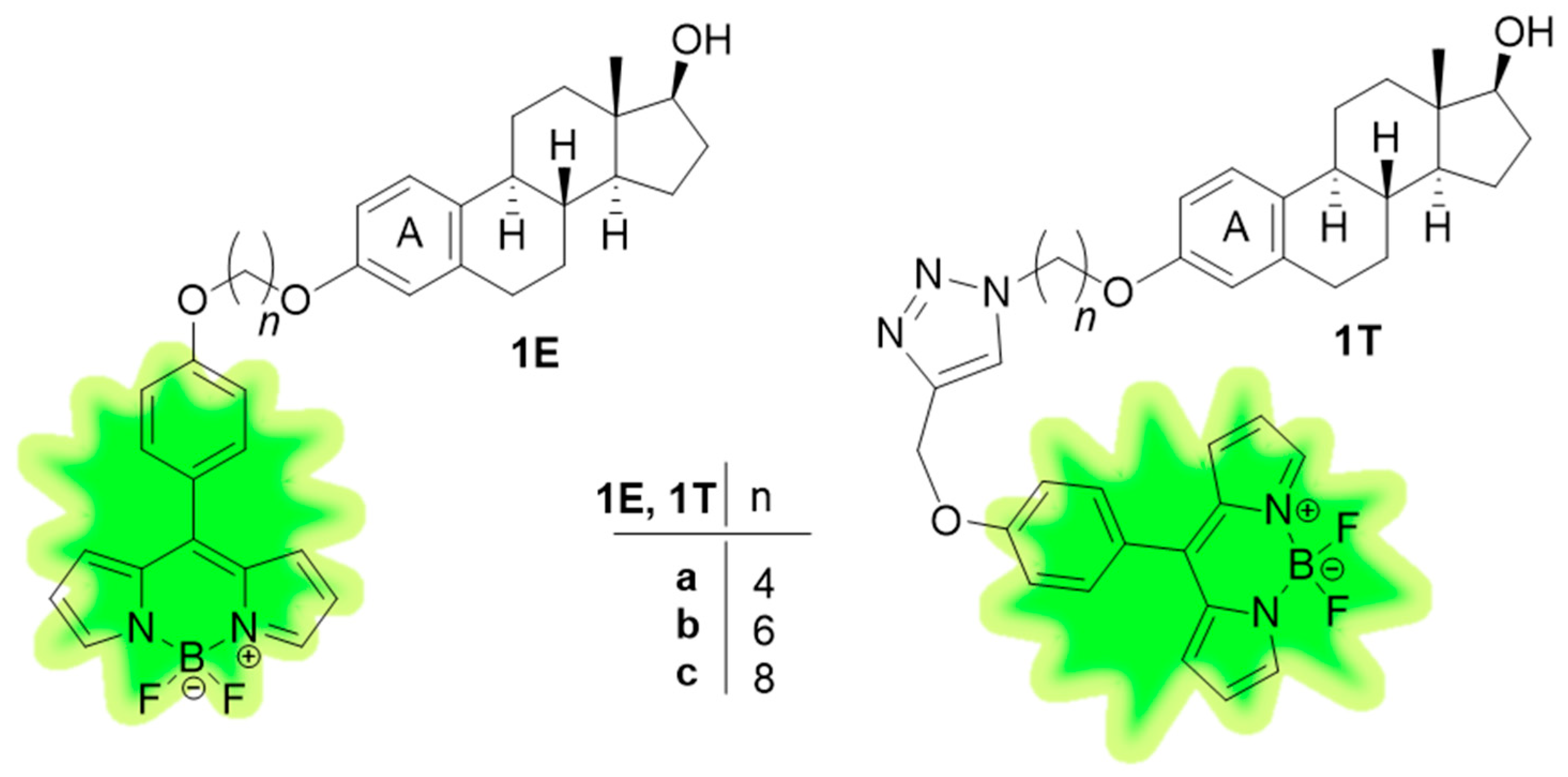 Ijms 26 07075 g001 Ijms 26 07075 g001