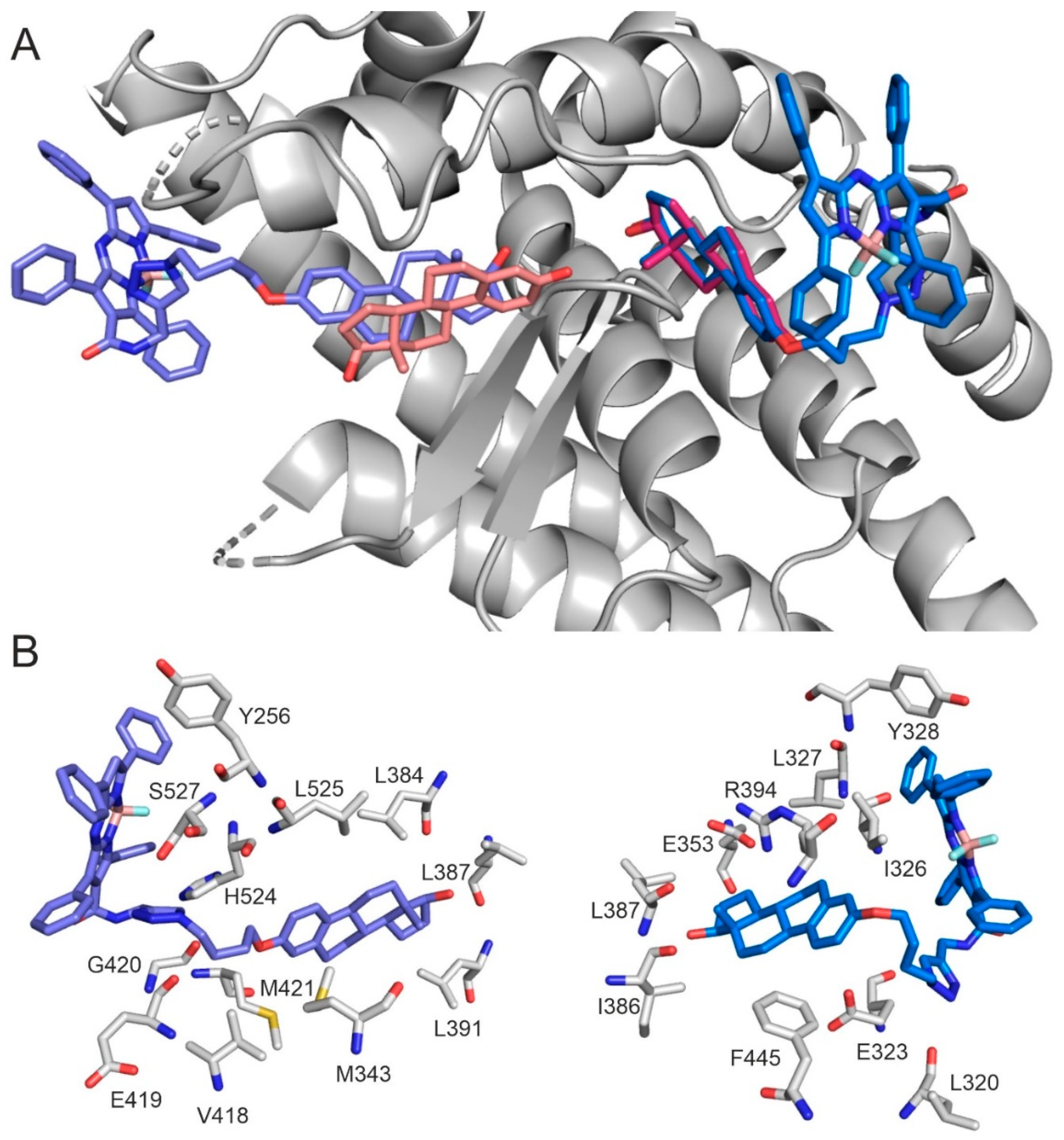 Ijms 26 07075 g006 Ijms 26 07075 g006