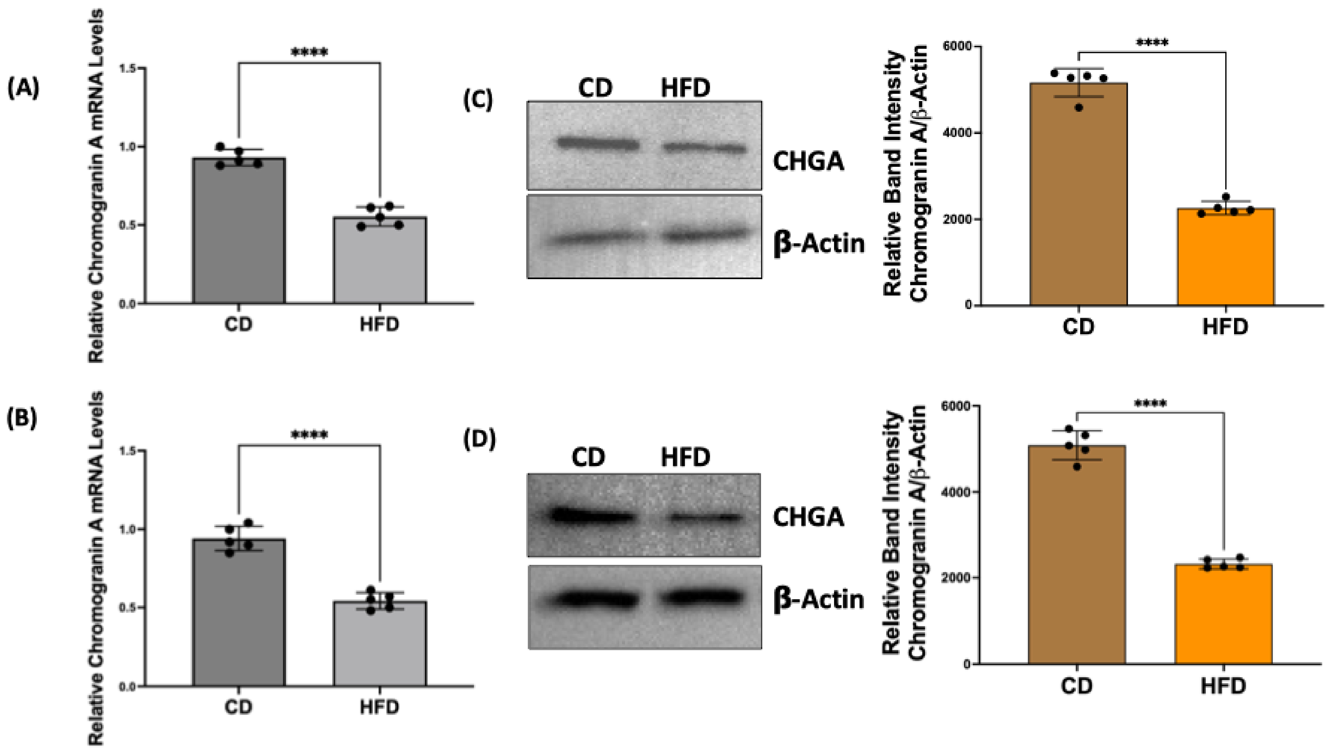 Ijms 26 07080 g002a Ijms 26 07080 g002a