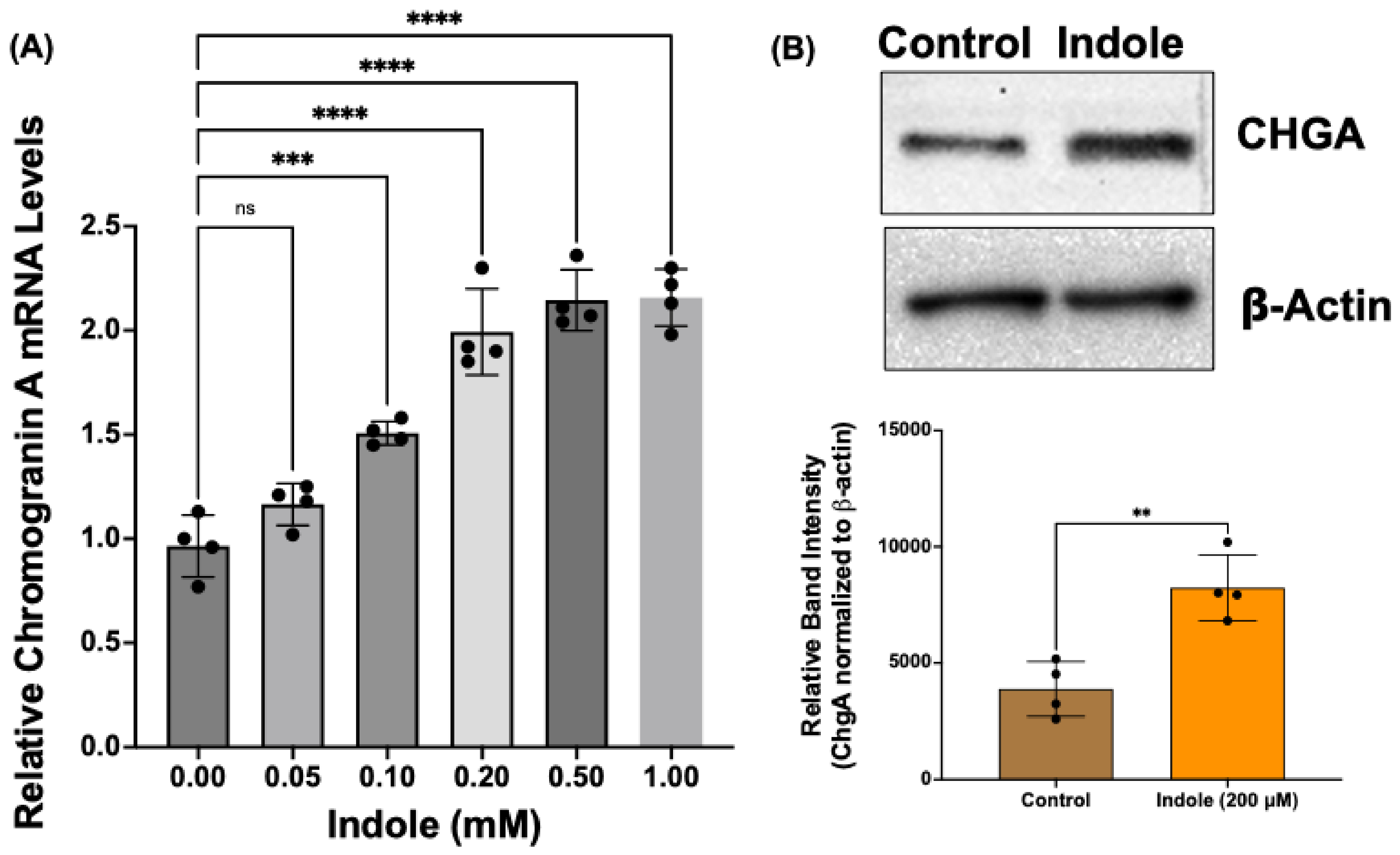 Ijms 26 07080 g004 Ijms 26 07080 g004