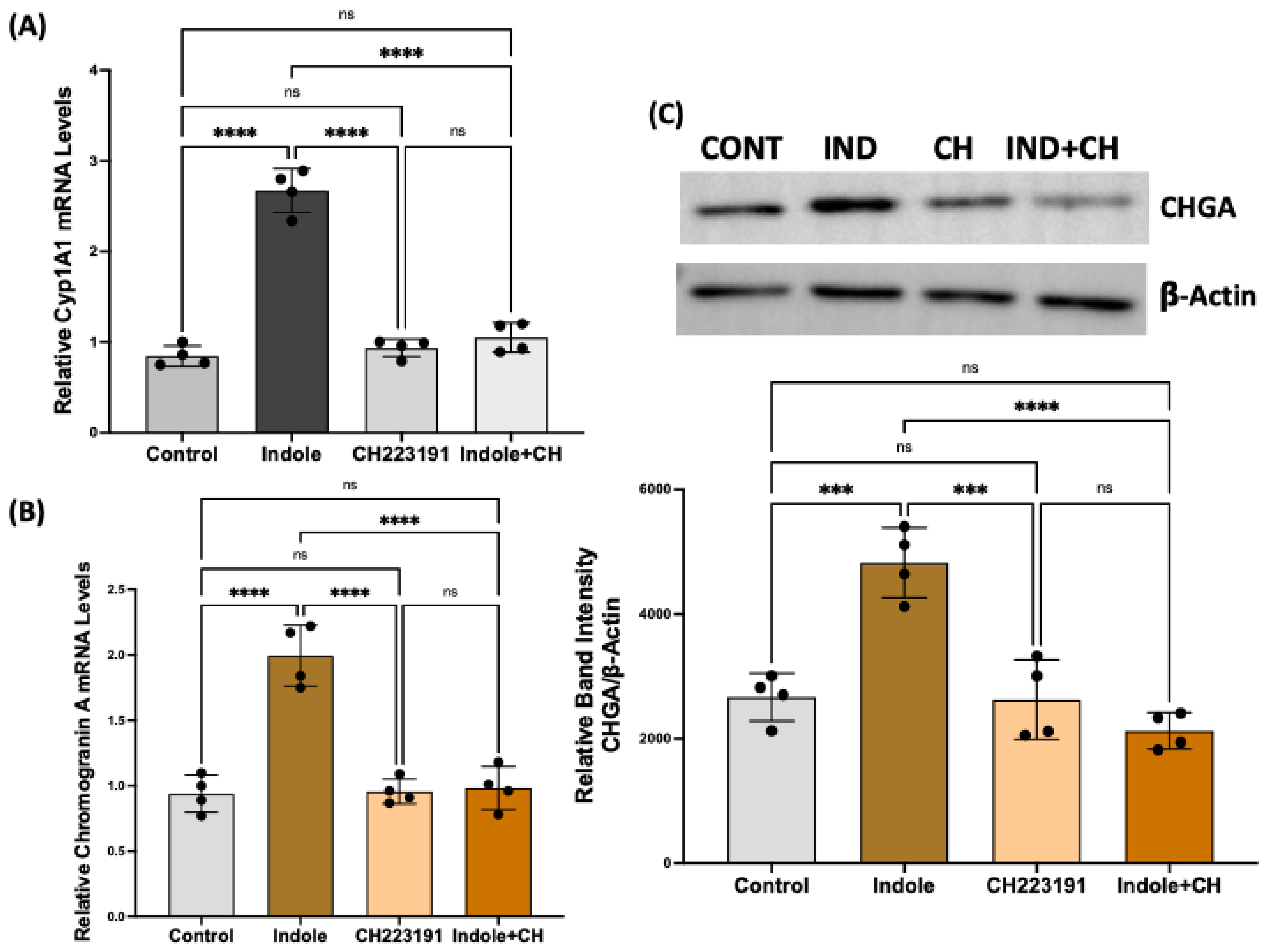 Ijms 26 07080 g005 Ijms 26 07080 g005
