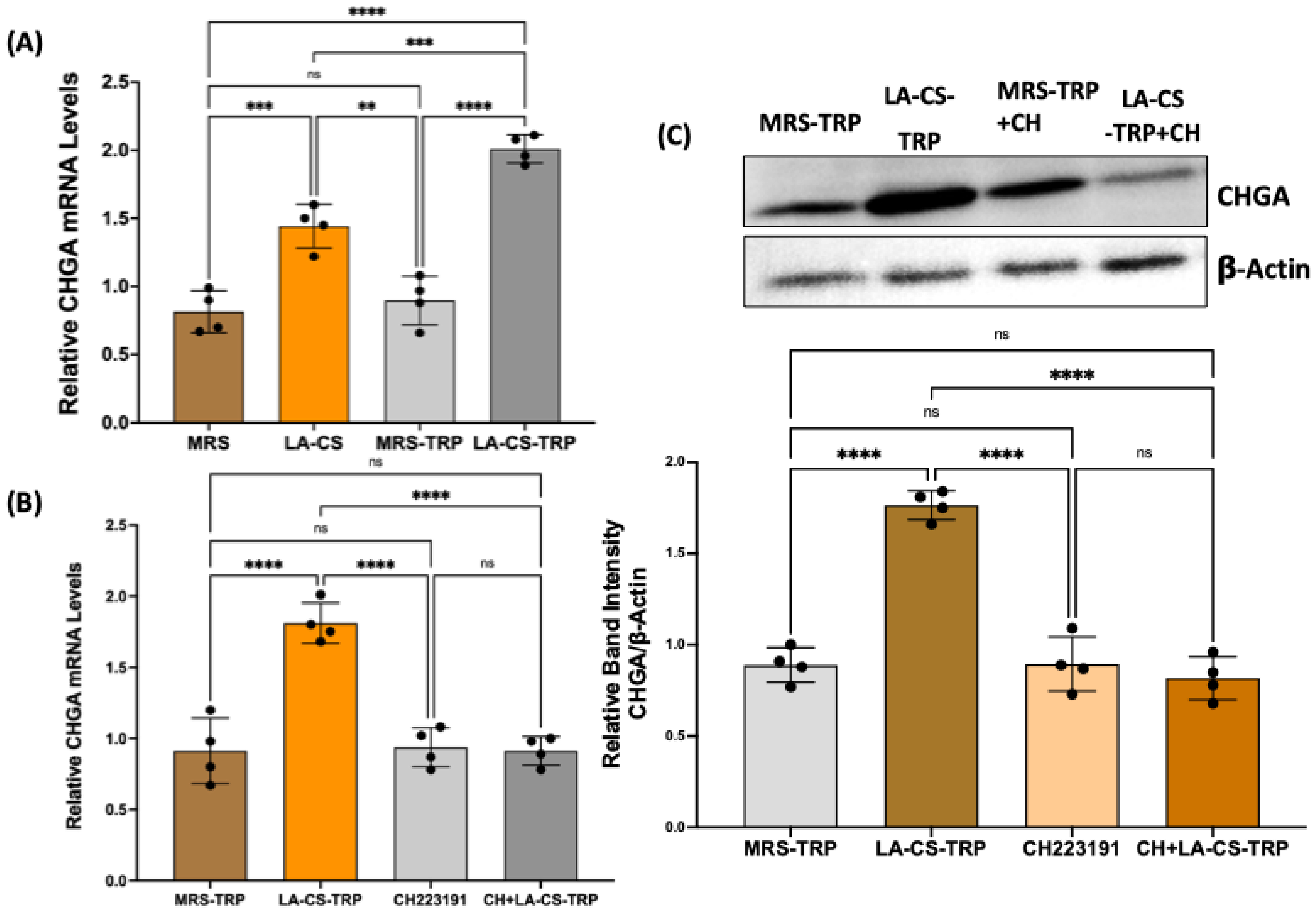 Ijms 26 07080 g006 Ijms 26 07080 g006