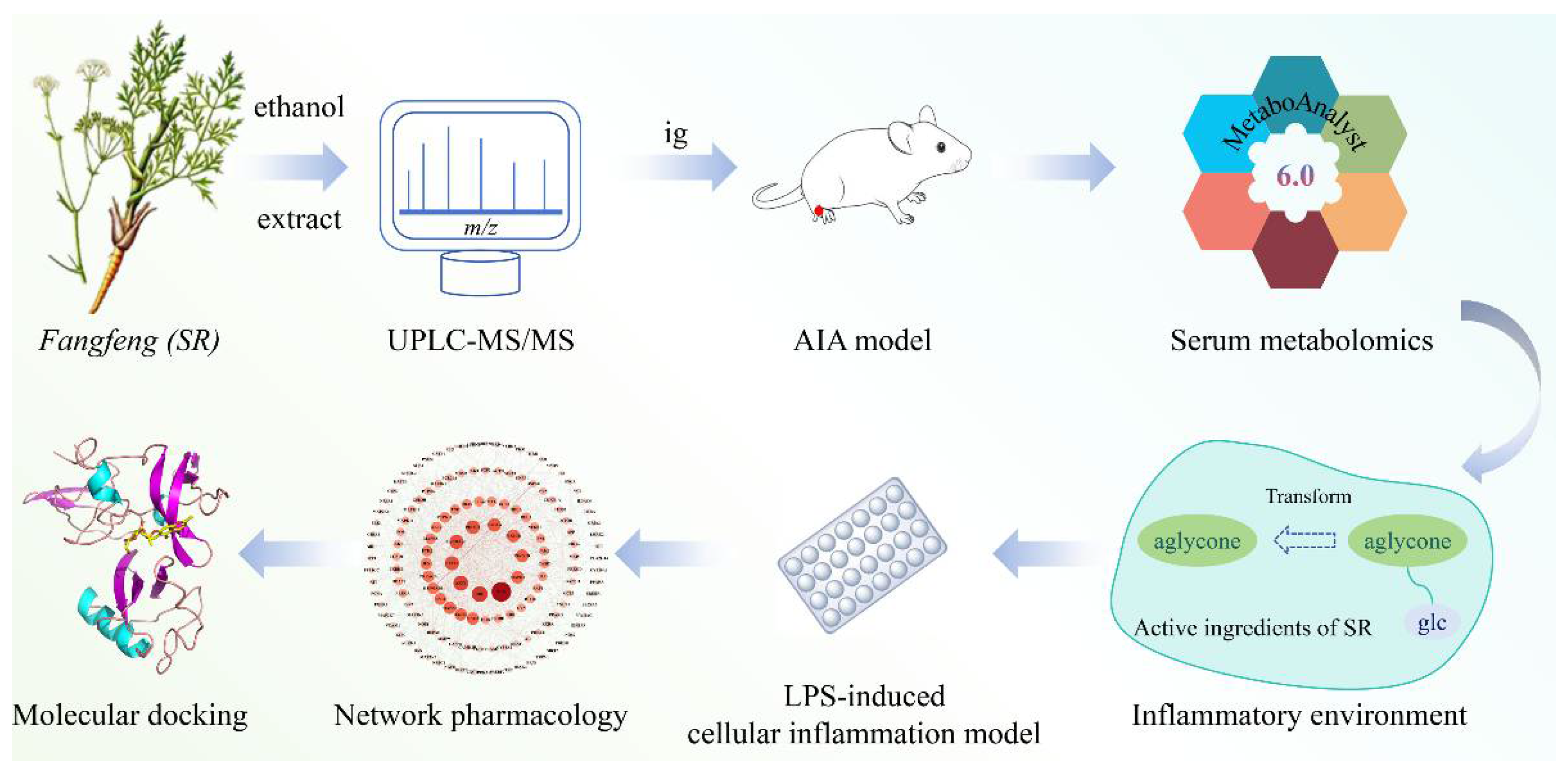 Ijms 26 07088 sch001