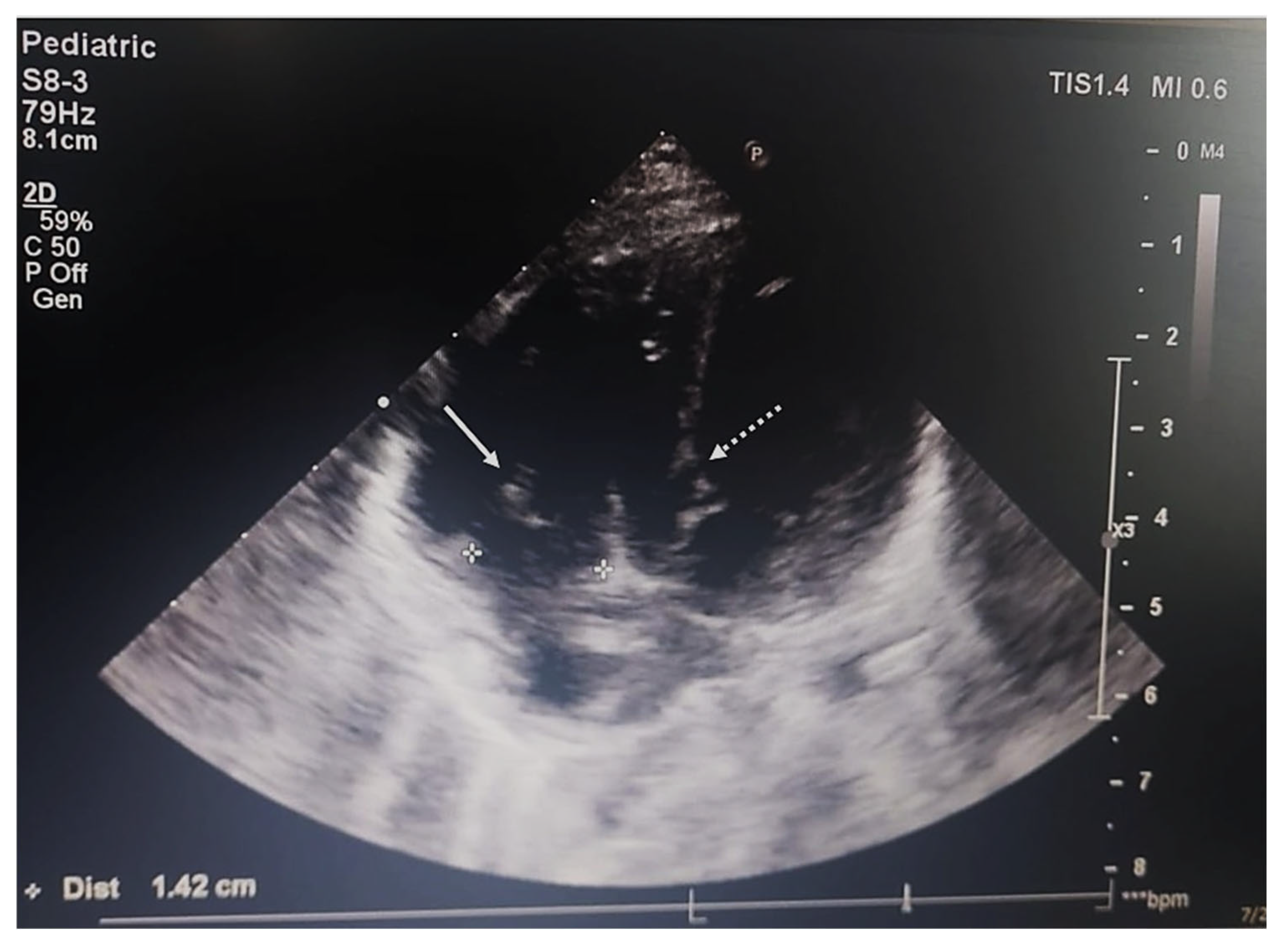 Ijms 26 07114 g001 Ijms 26 07114 g001