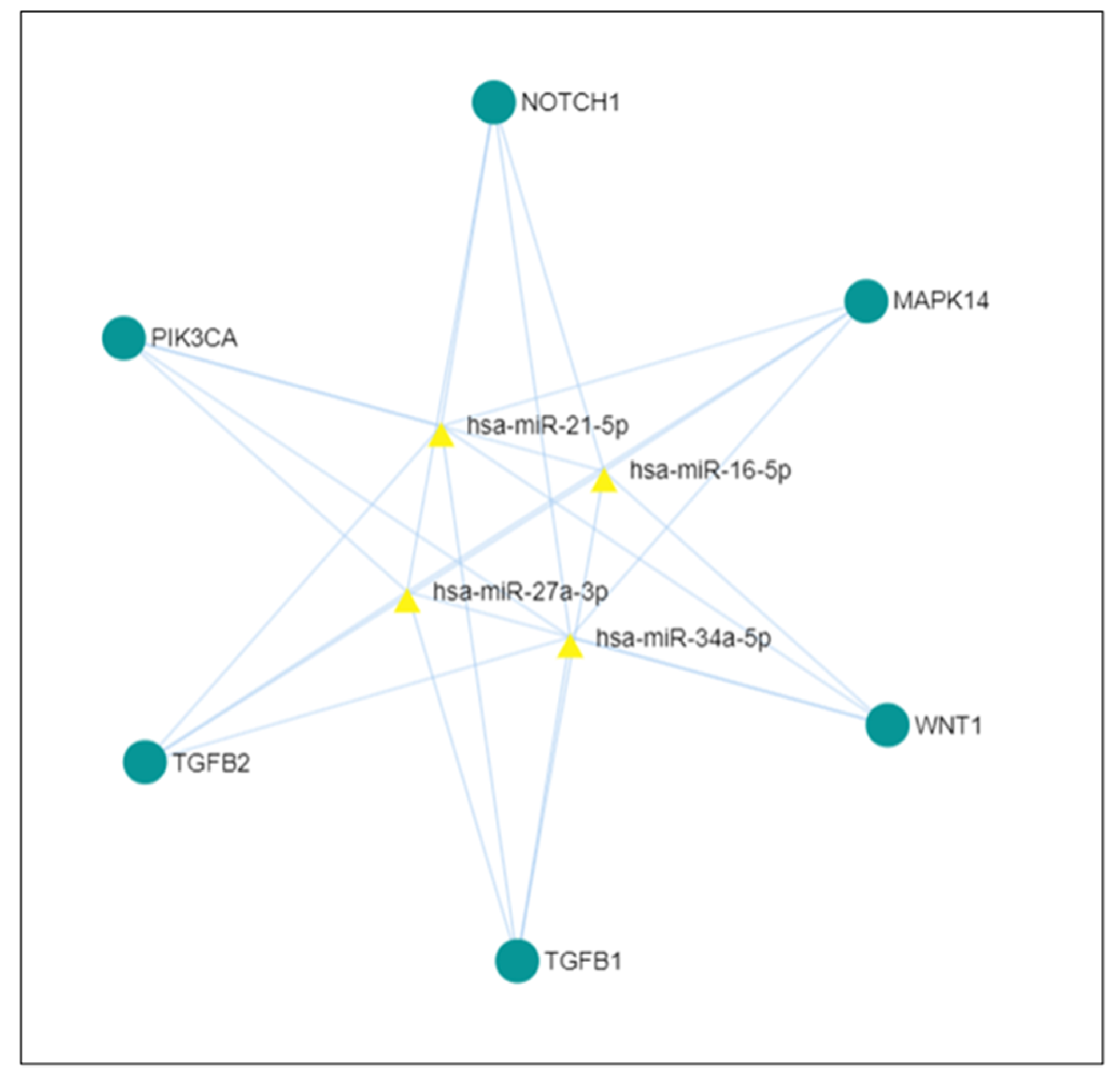 Ijms 26 07114 g006 Ijms 26 07114 g006