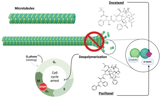 Docetaxel Resistance in Breast Cancer: Current Insights and Future