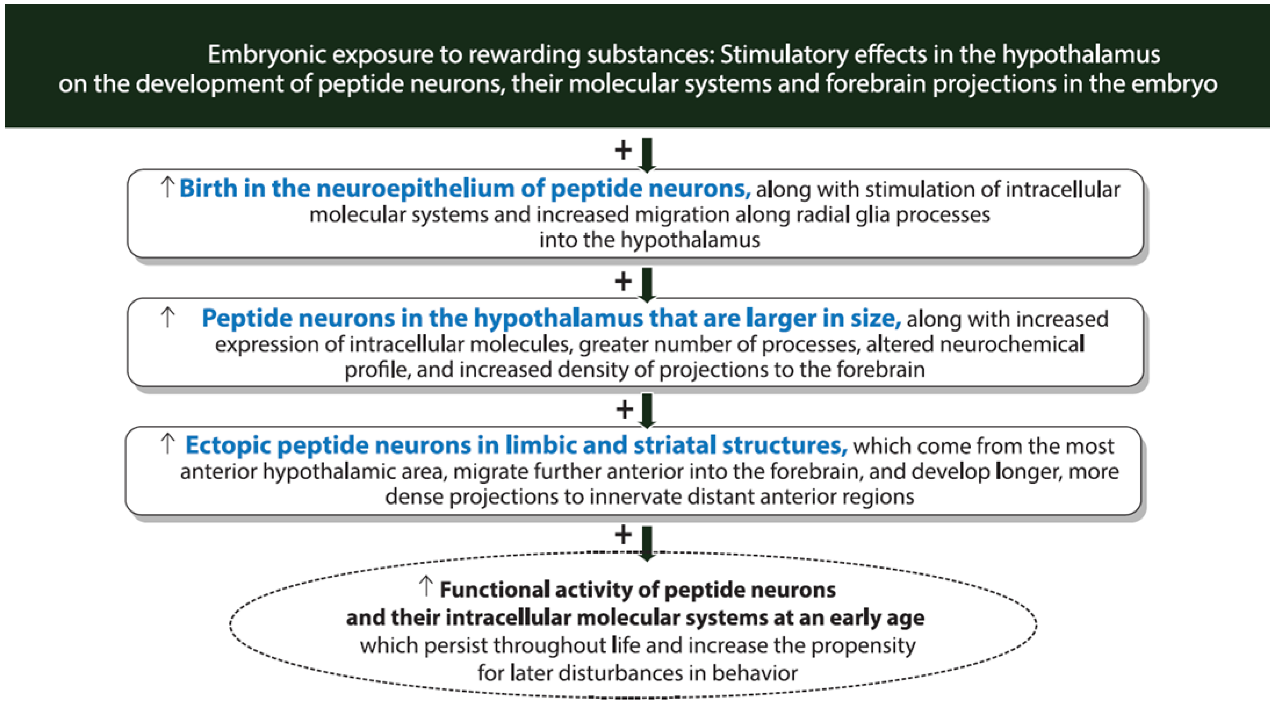 Ijms 26 07143 g003 Ijms 26 07143 g003