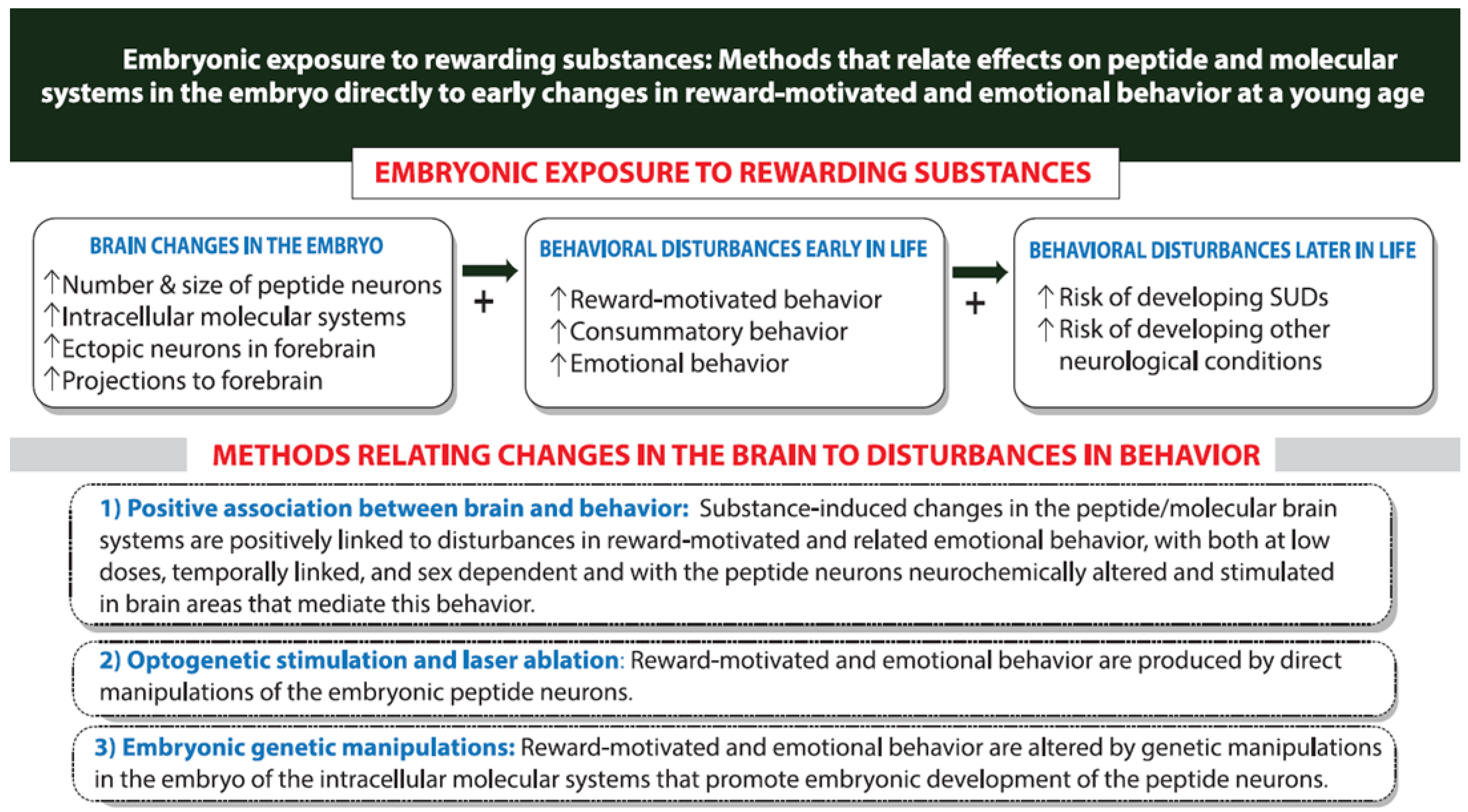 Ijms 26 07143 g004 Ijms 26 07143 g004