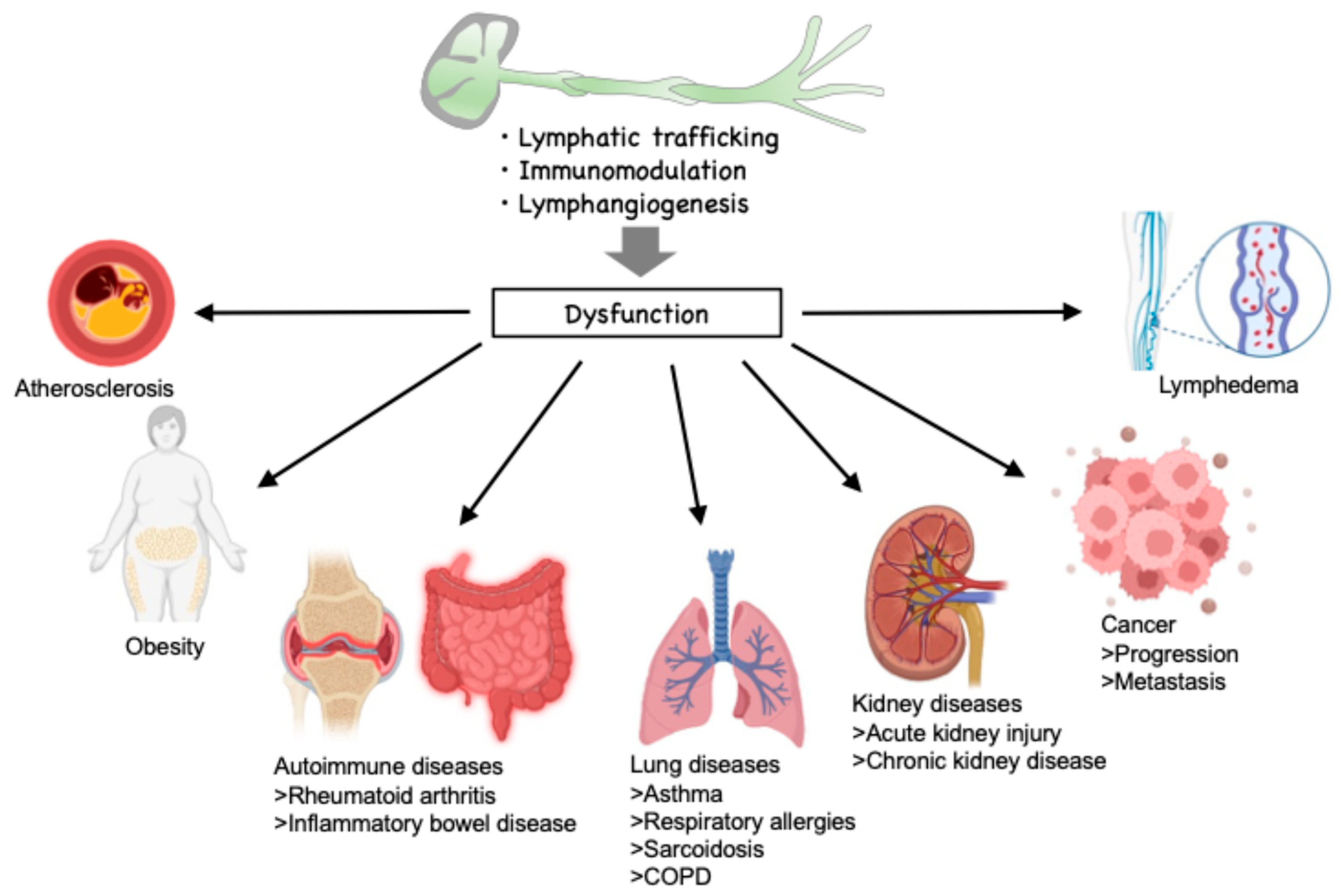 Ijms 26 07144 g001 Ijms 26 07144 g001