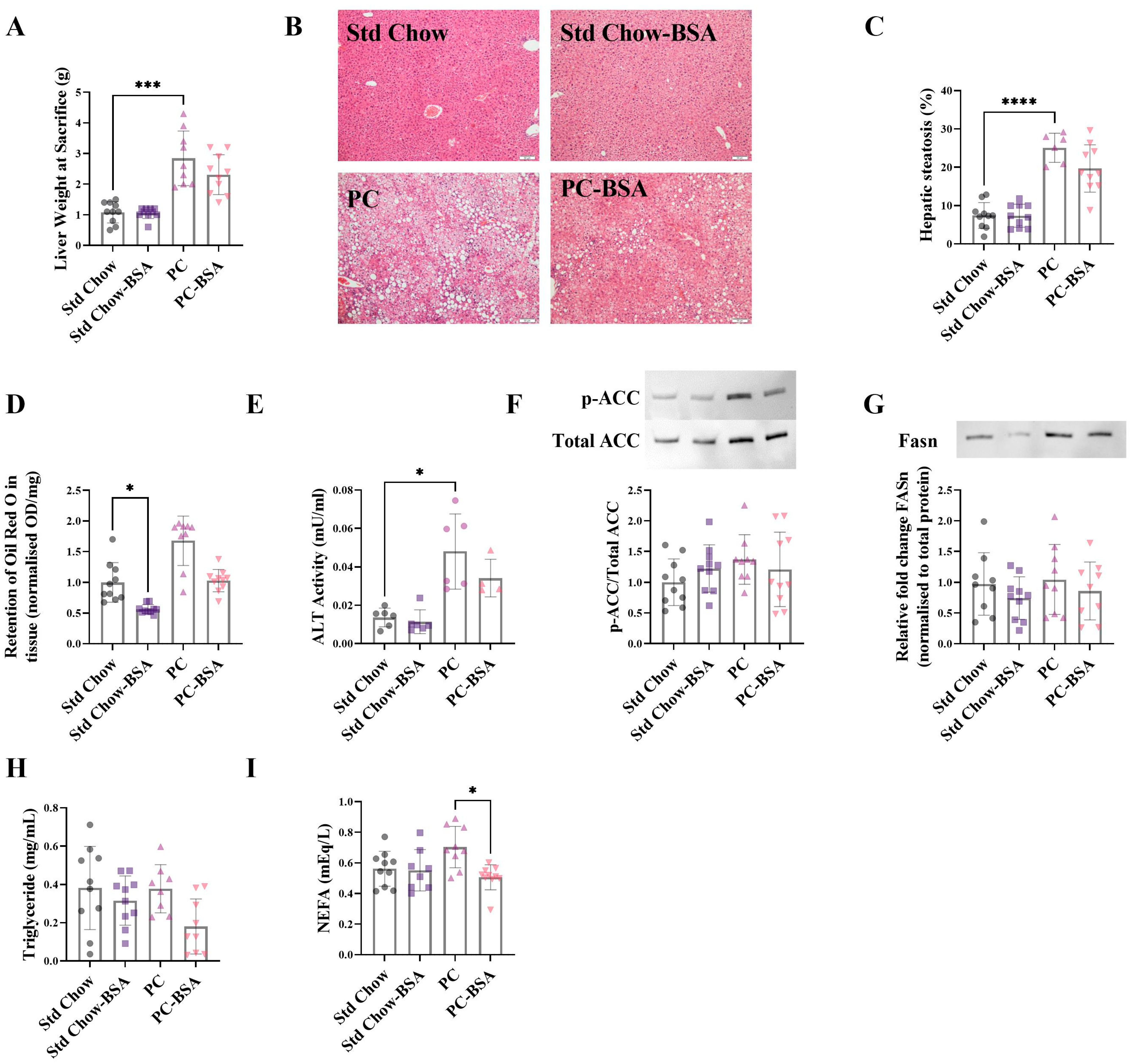 Ijms 26 07156 g003 Ijms 26 07156 g003