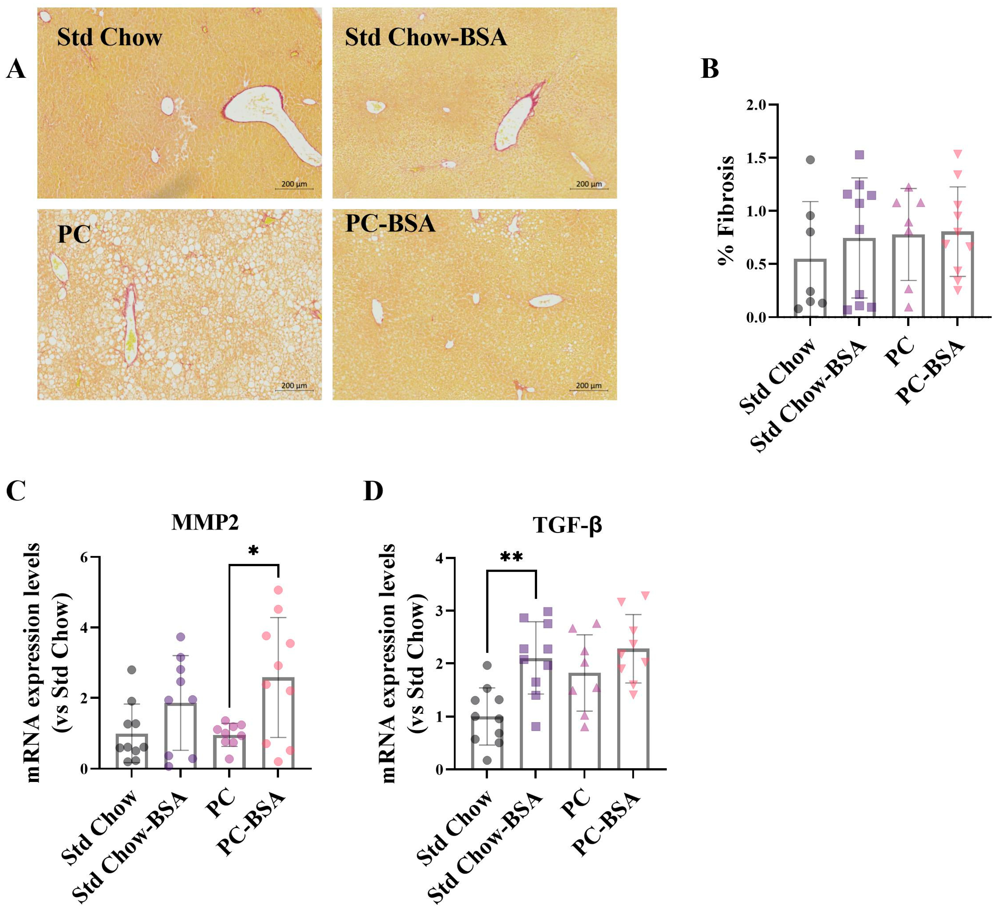 Ijms 26 07156 g005 Ijms 26 07156 g005