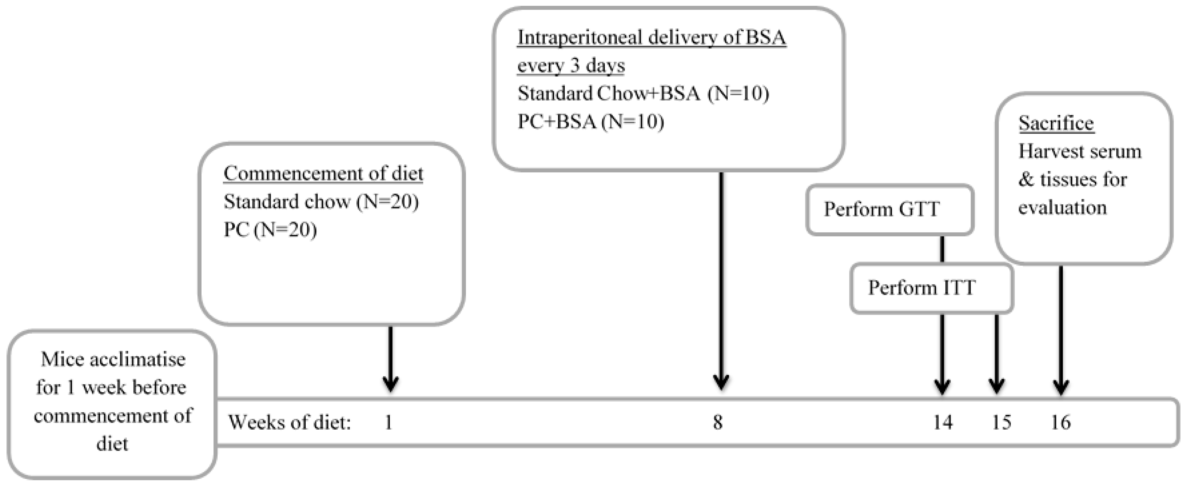 Ijms 26 07156 g006 Ijms 26 07156 g006