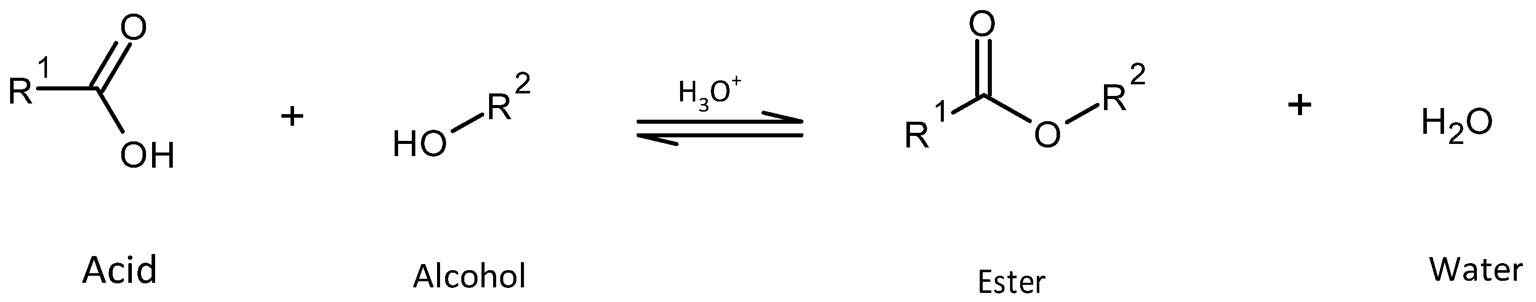 Ijms 26 07214 sch001