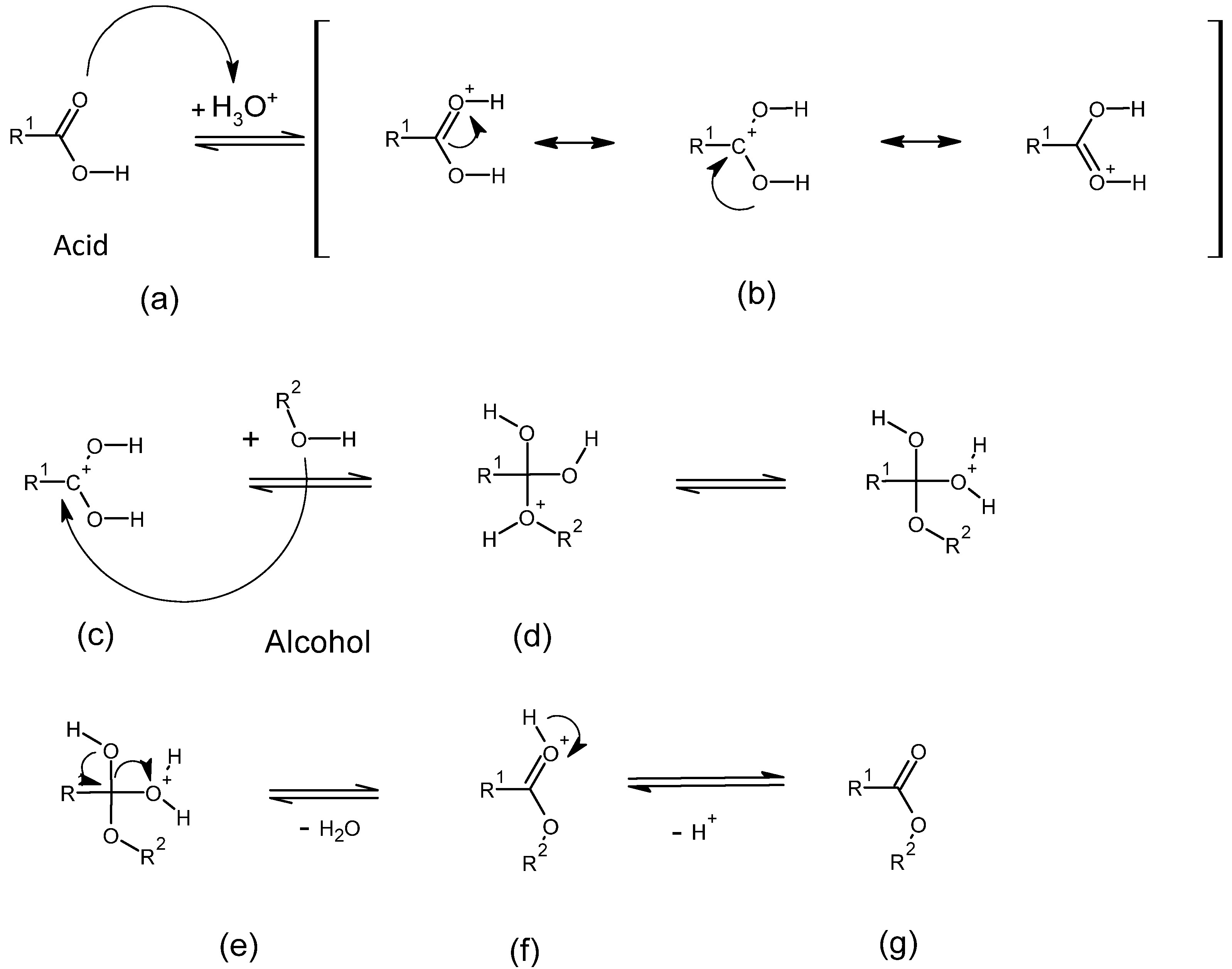 Ijms 26 07214 sch002