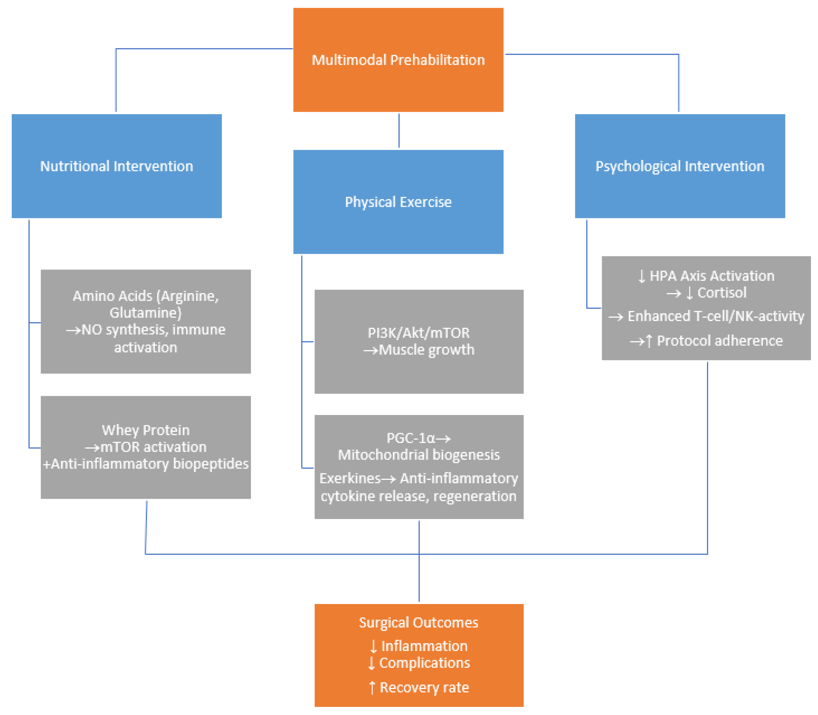 Ijms 26 07242 g001 Ijms 26 07242 g001