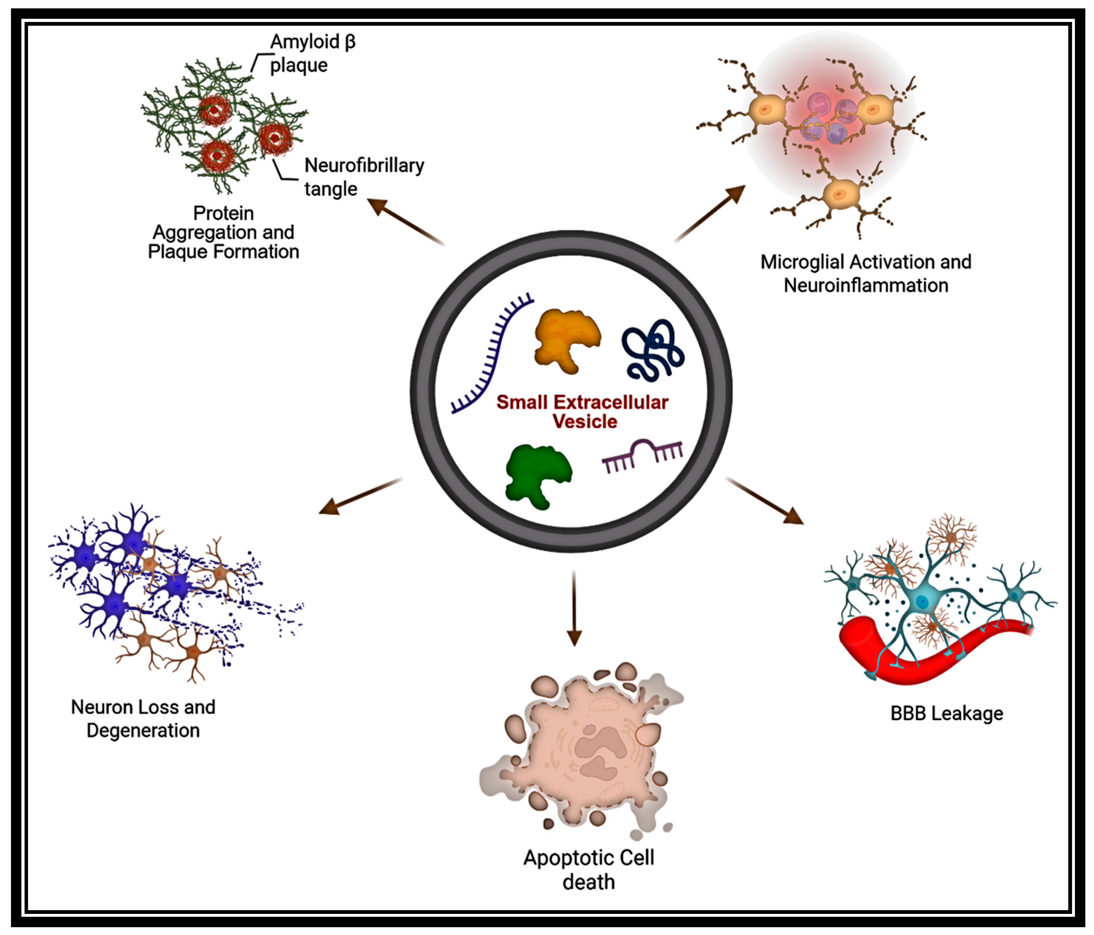 Ijms 26 07246 sch003