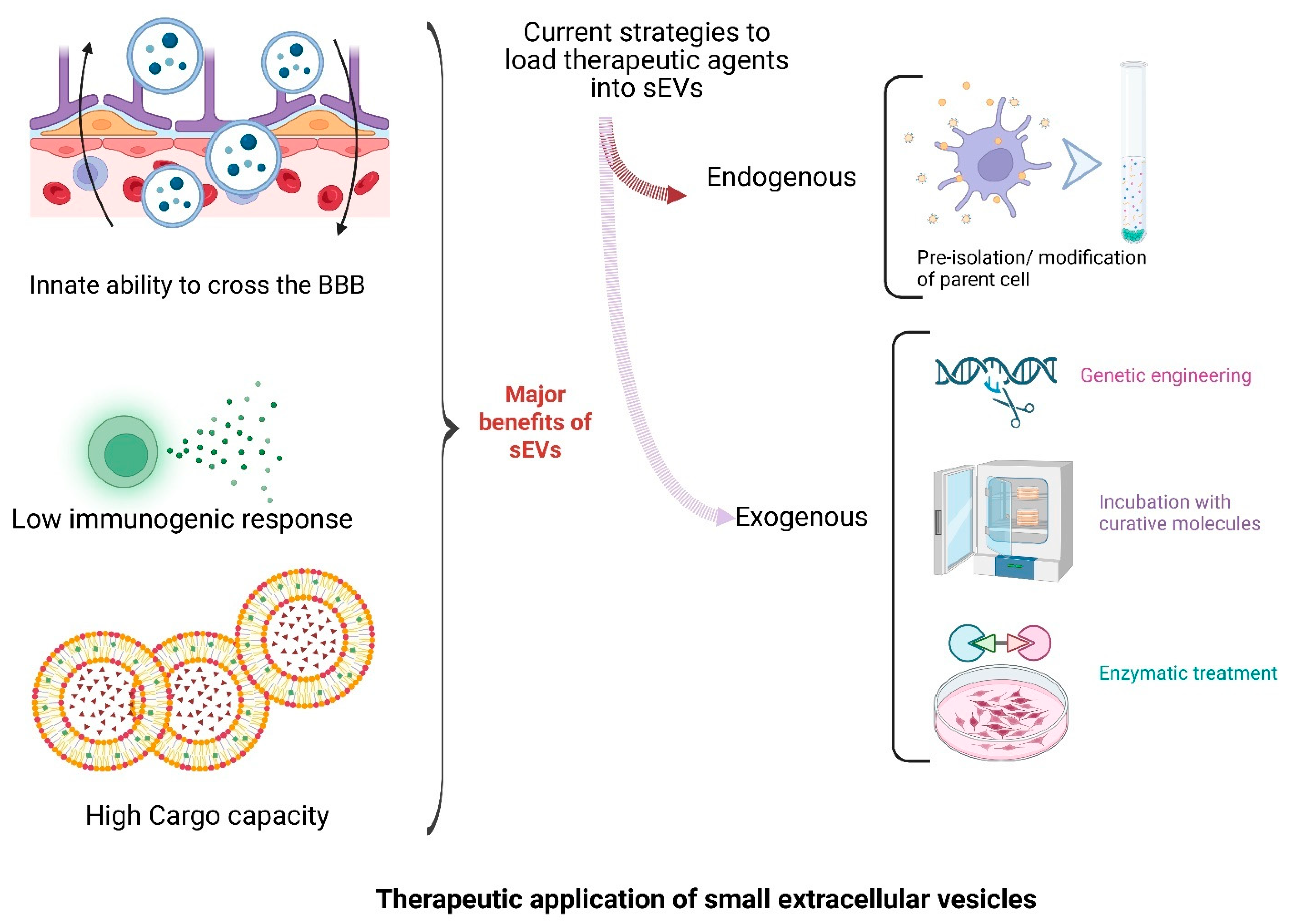 Ijms 26 07246 sch004