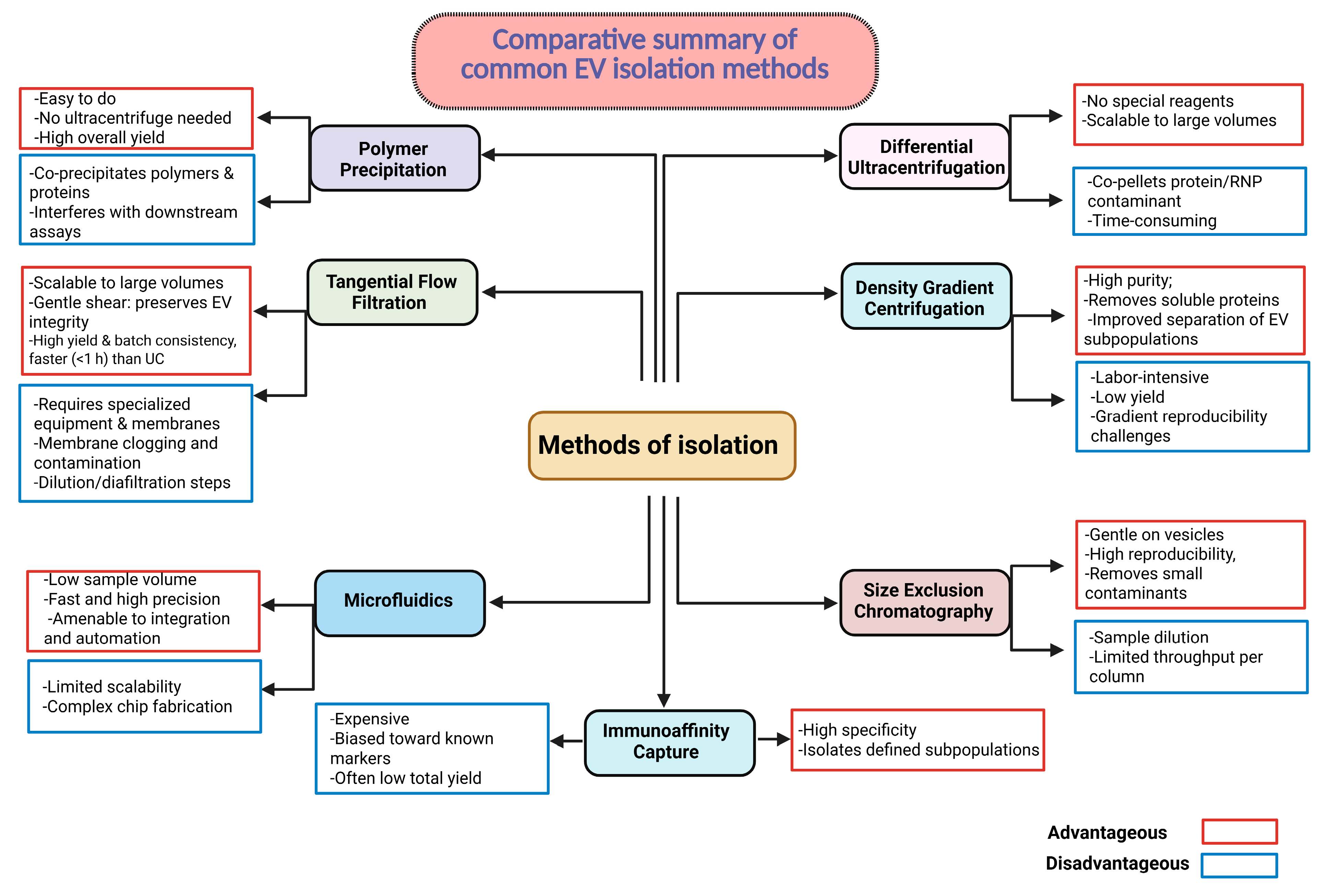 Ijms 26 07246 sch005