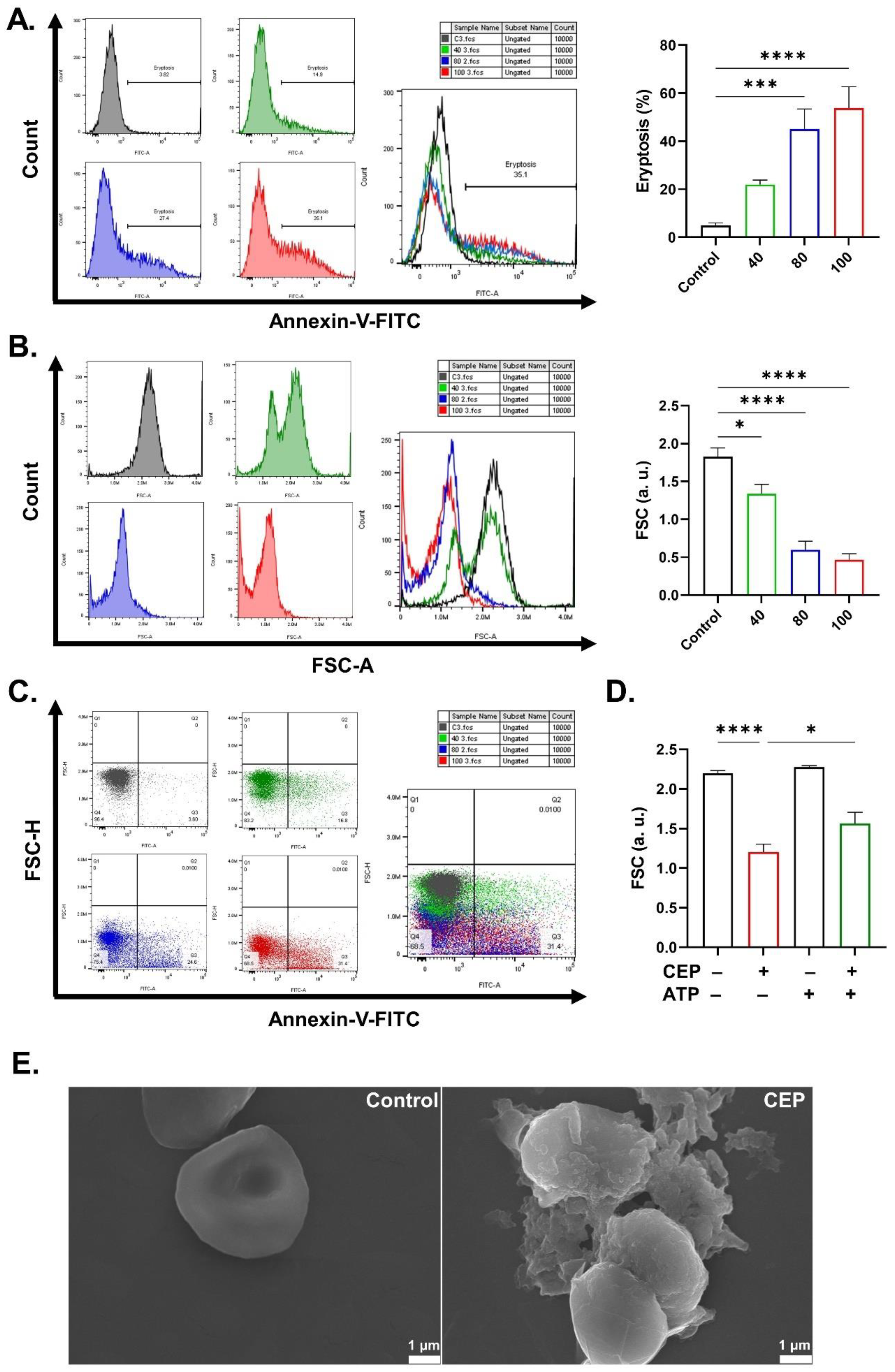 Ijms 26 07250 g002 Ijms 26 07250 g002