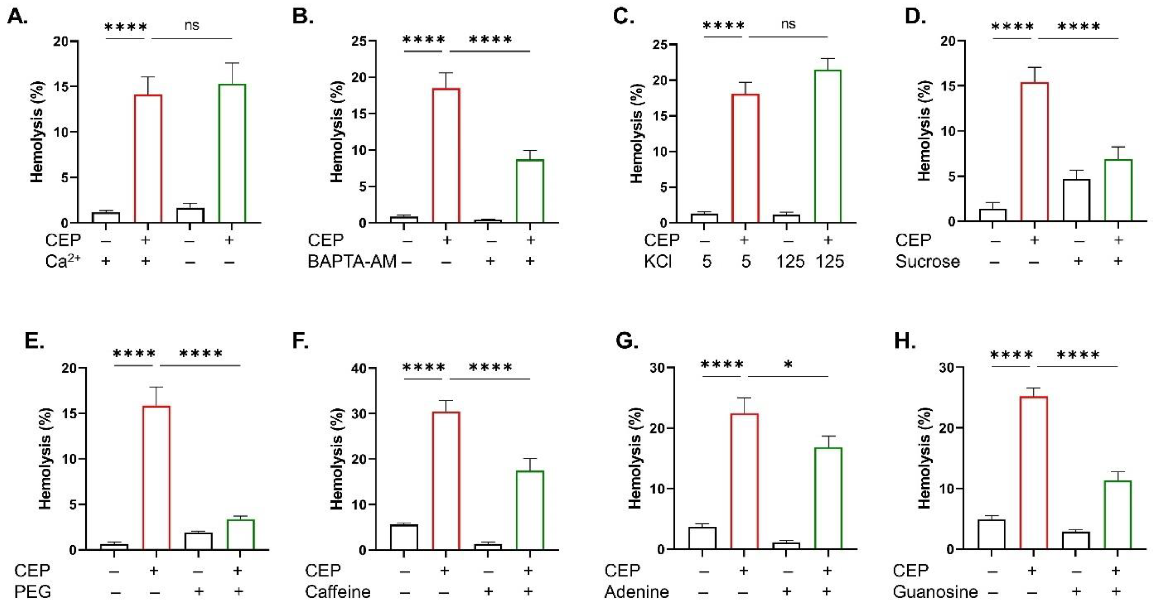 Ijms 26 07250 g006 Ijms 26 07250 g006
