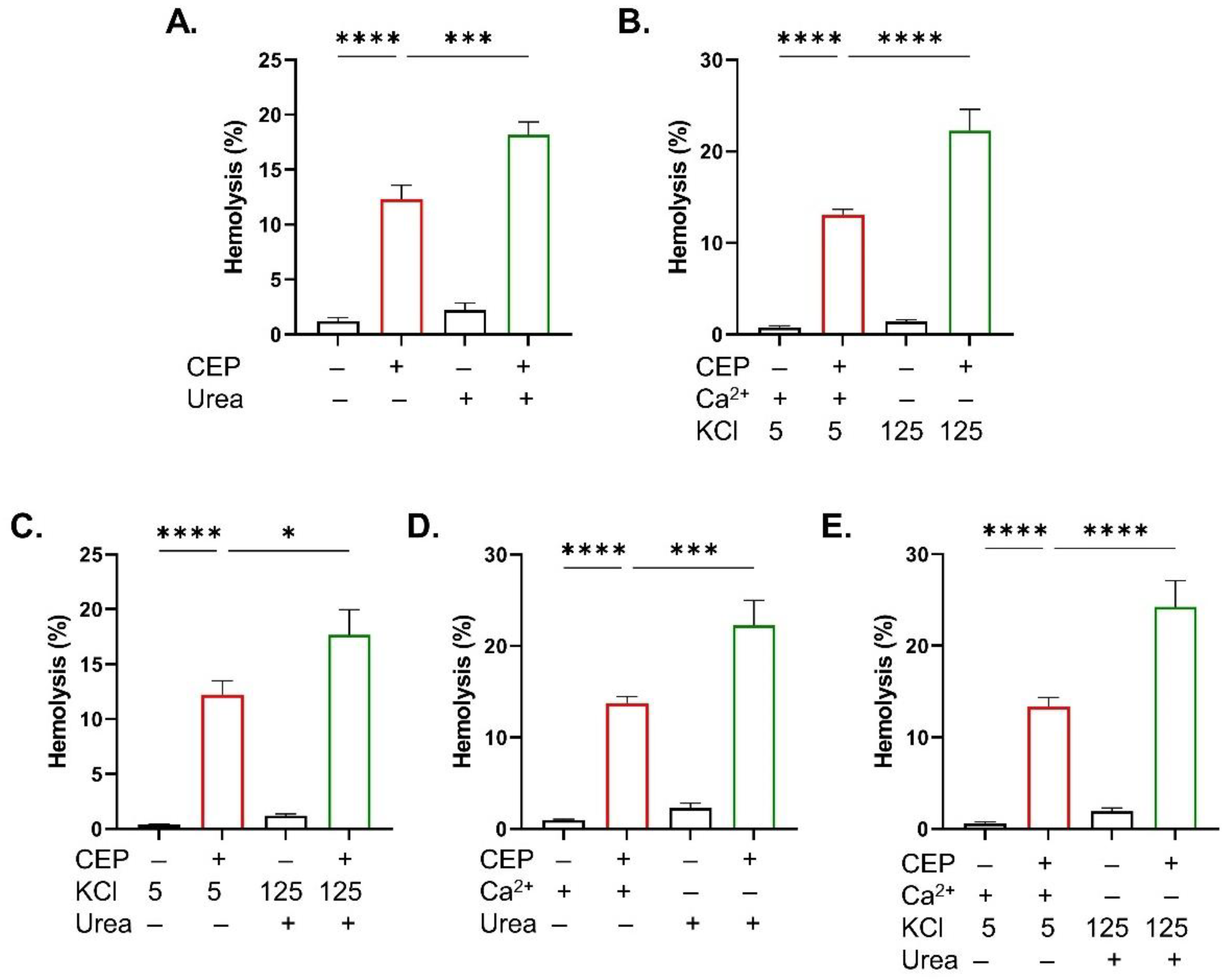 Ijms 26 07250 g008 Ijms 26 07250 g008