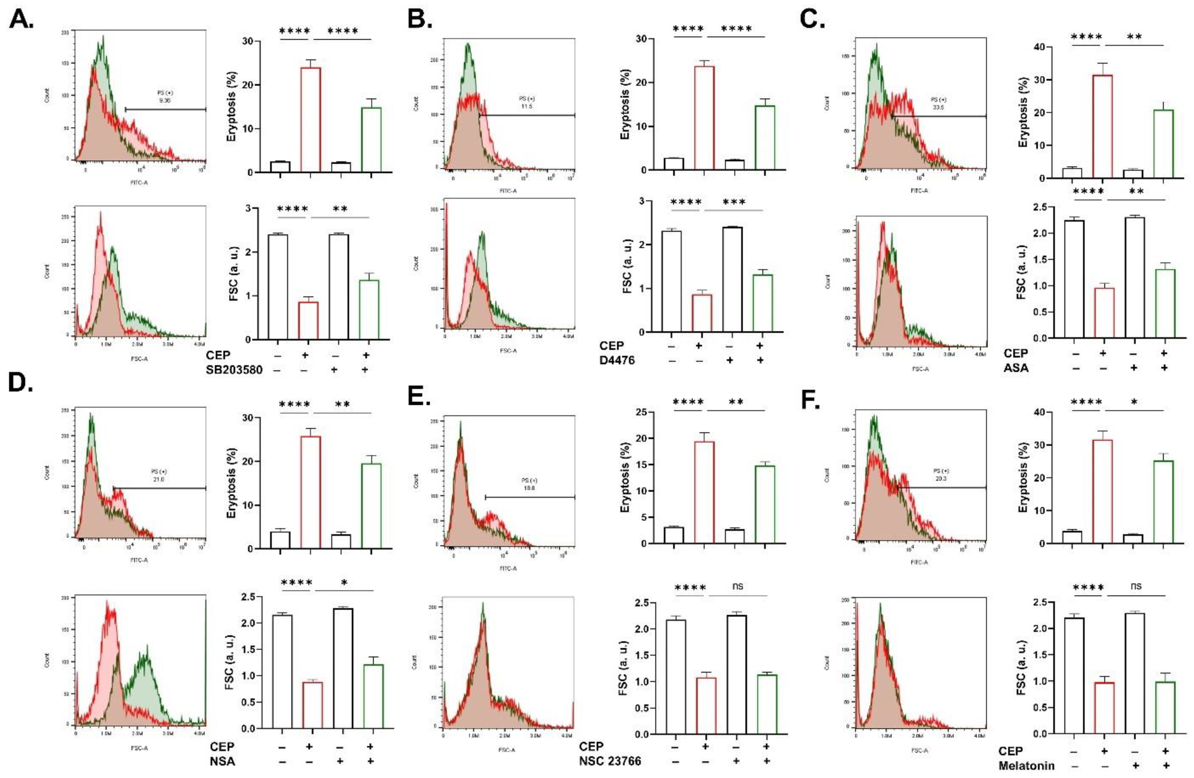 Ijms 26 07250 g009 Ijms 26 07250 g009