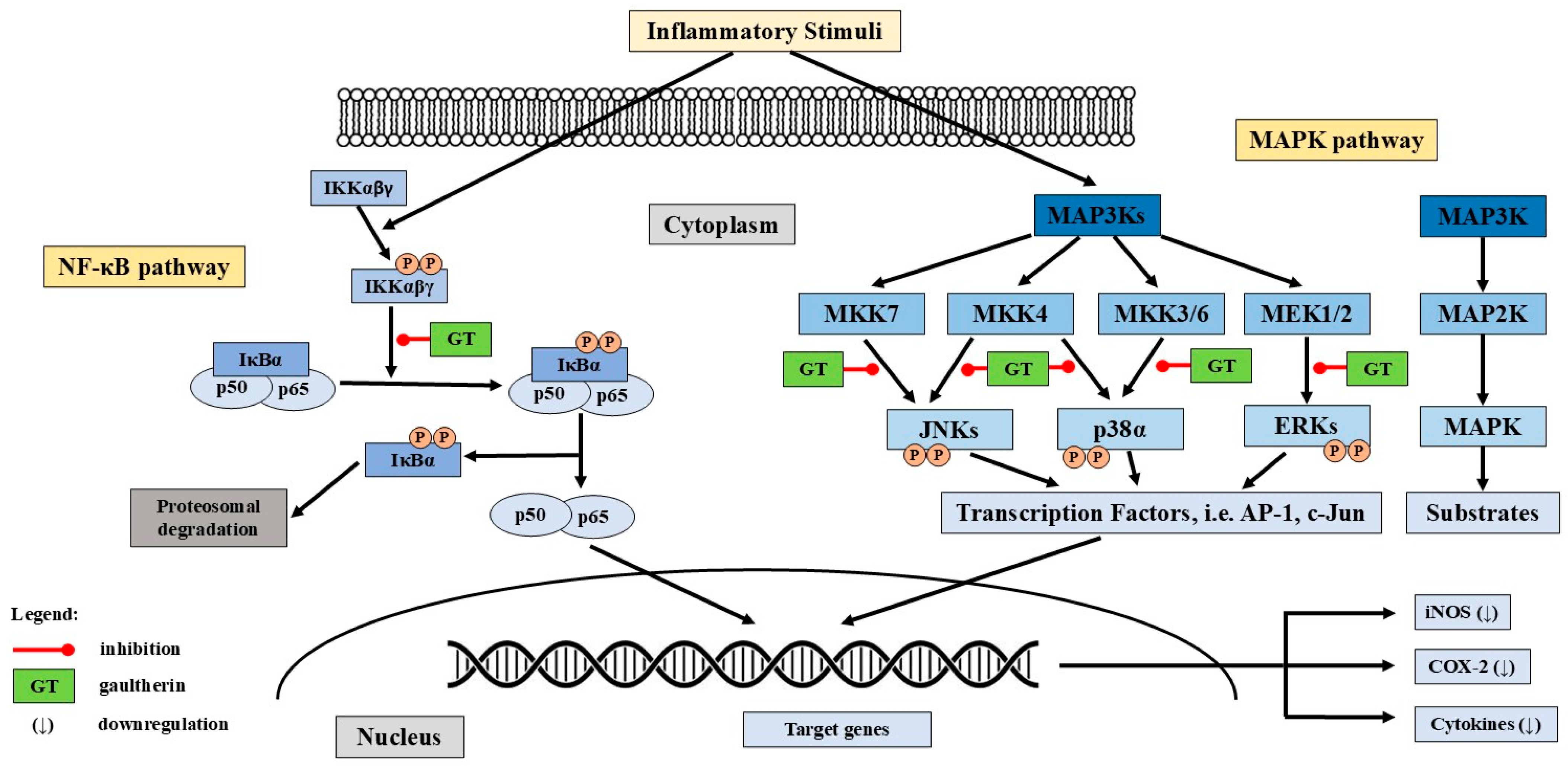 Ijms 26 07280 g003 Ijms 26 07280 g003