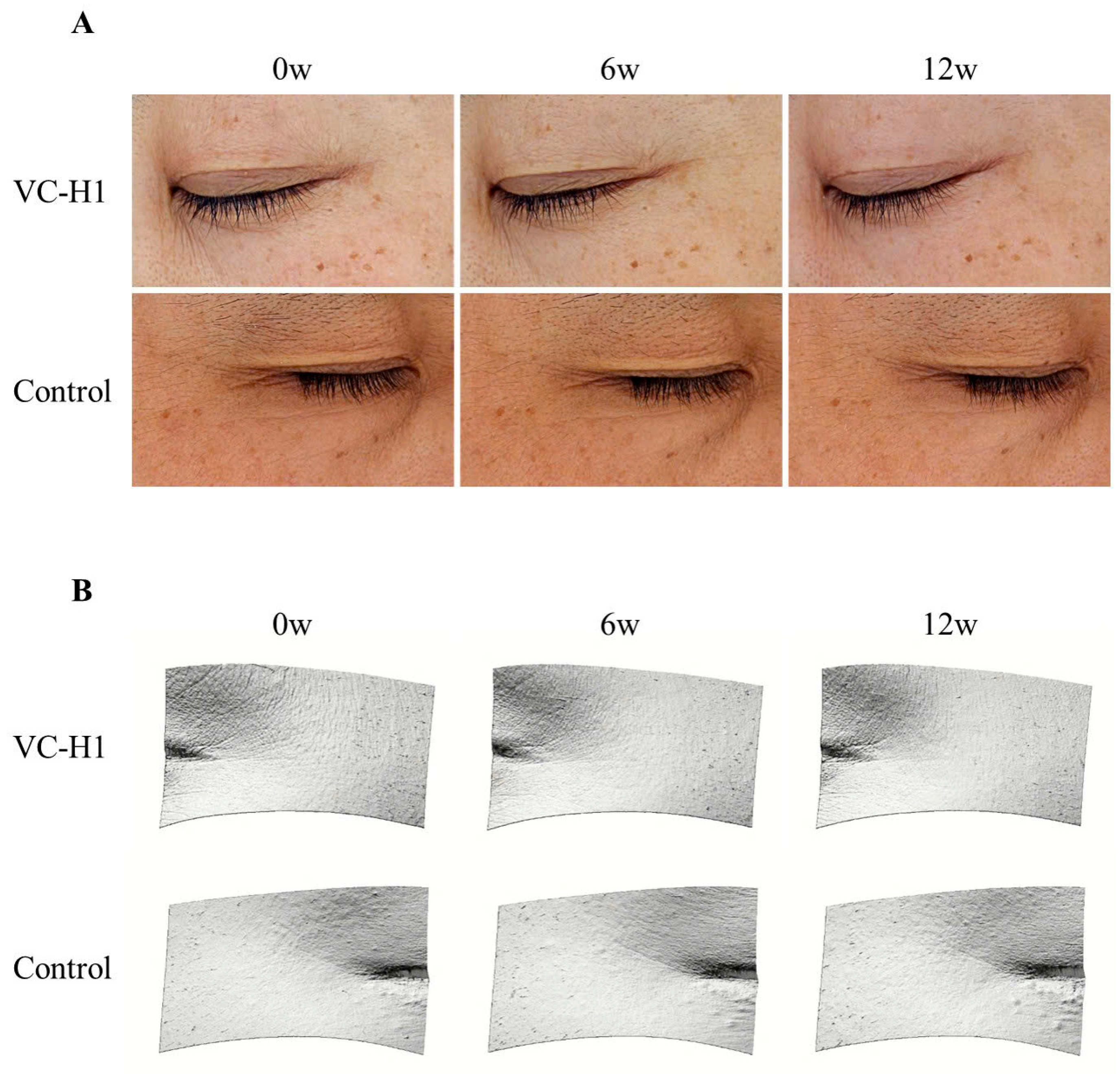 Ijms 26 07291 g006 Ijms 26 07291 g006