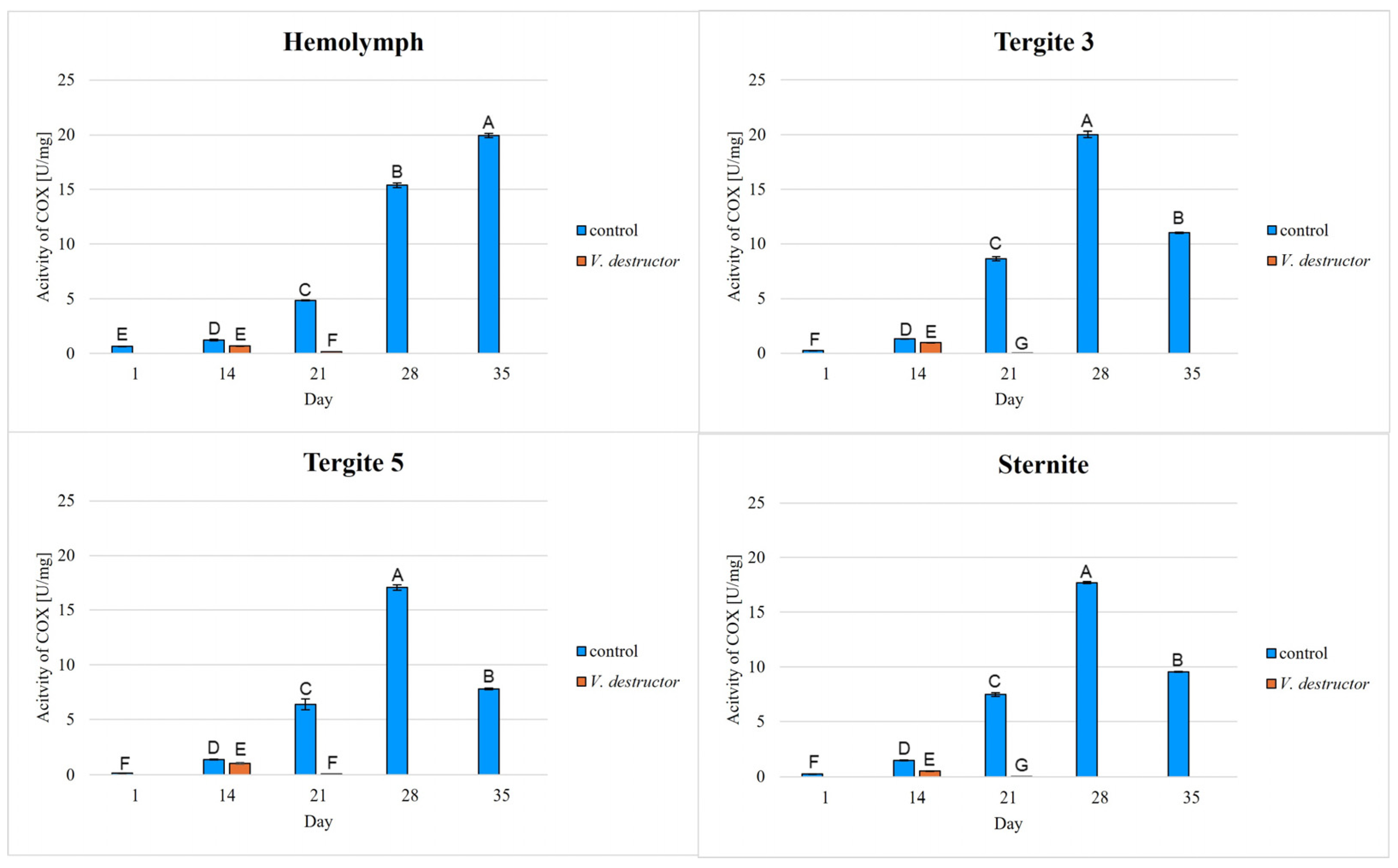 Ijms 26 07294 g008 Ijms 26 07294 g008