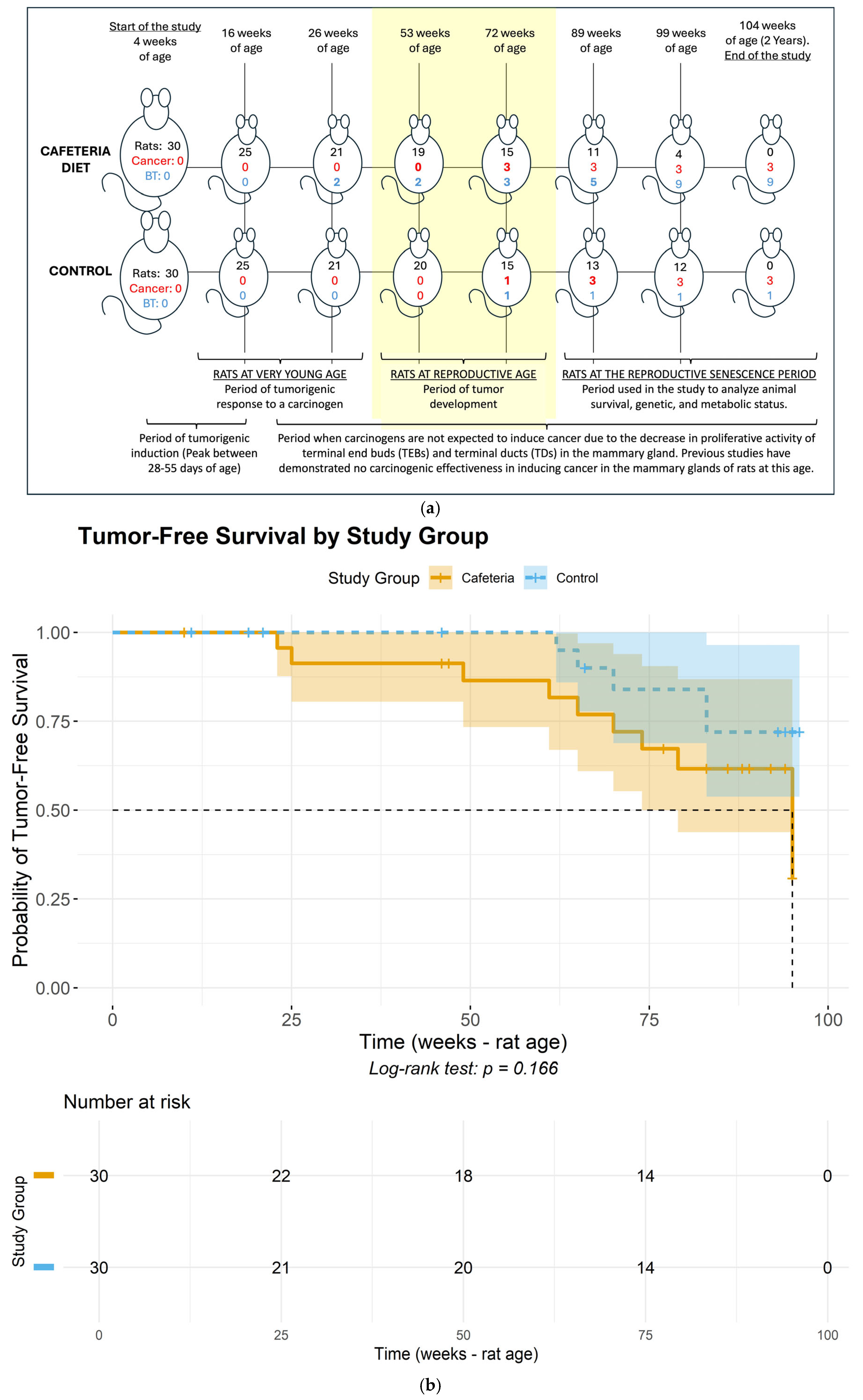Ijms 26 07296 g001a Ijms 26 07296 g001a