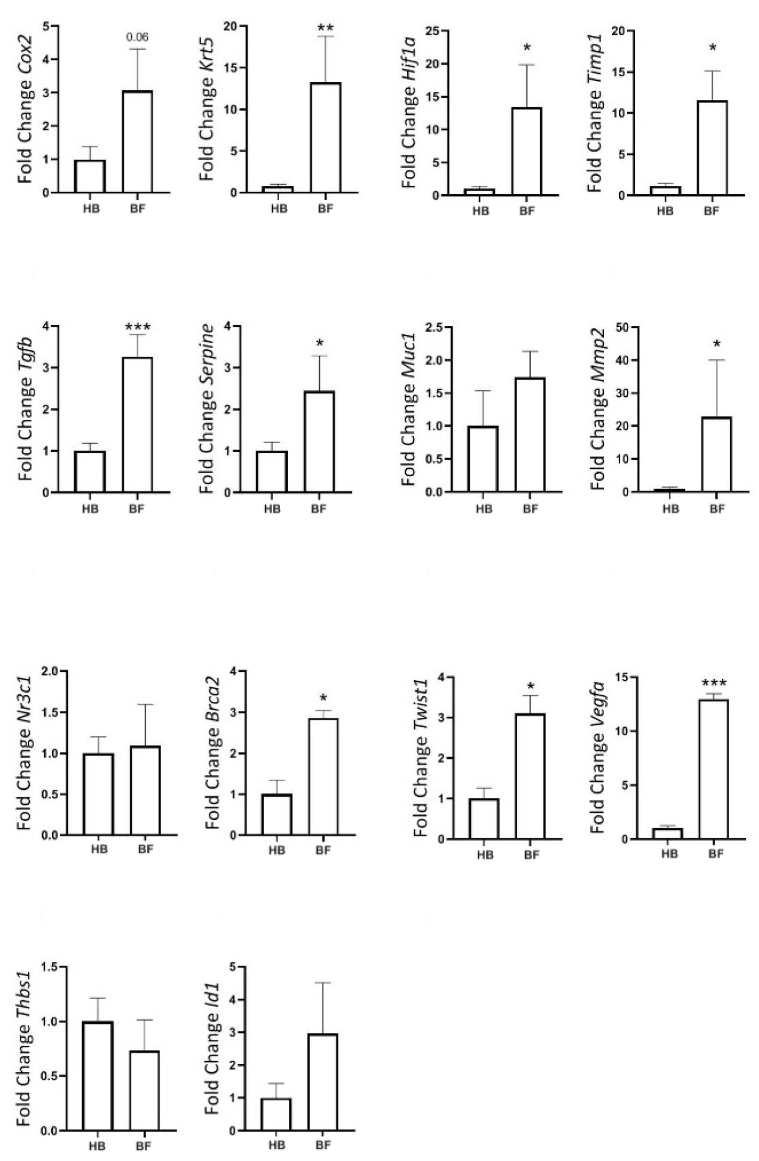 Ijms 26 07296 g011 Ijms 26 07296 g011