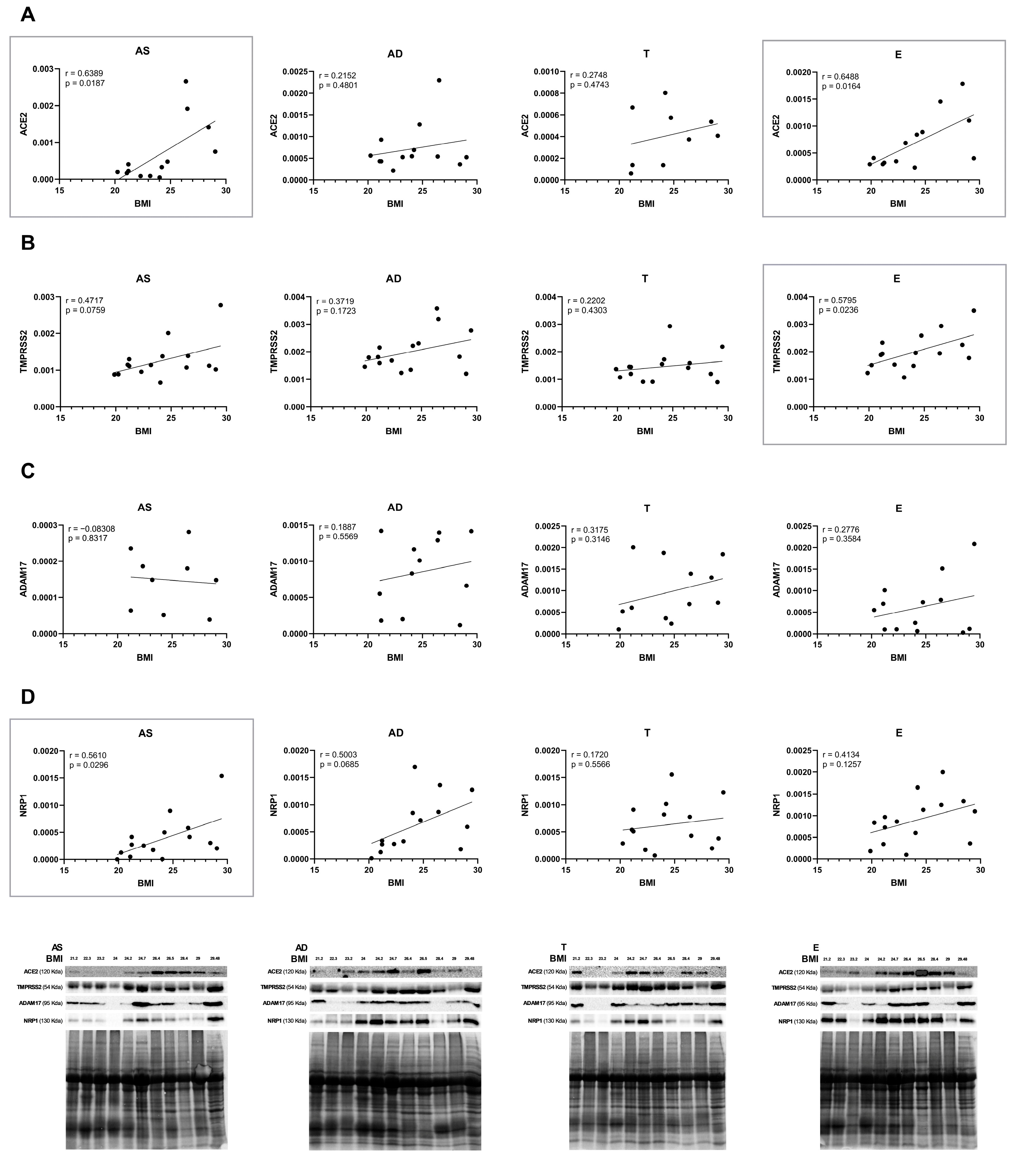 Ijms 26 07313 g003 Ijms 26 07313 g003