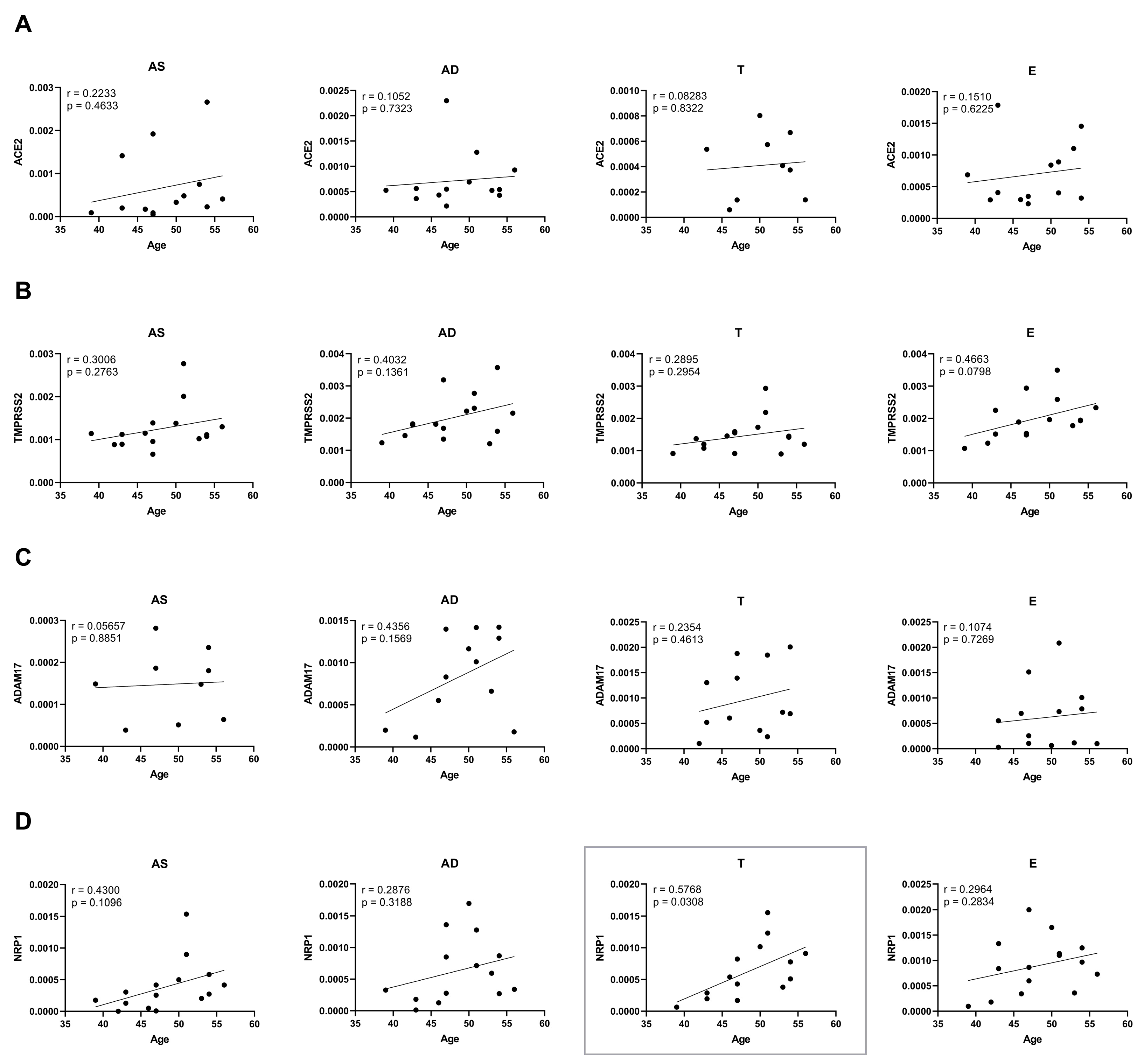 Ijms 26 07313 g004 Ijms 26 07313 g004