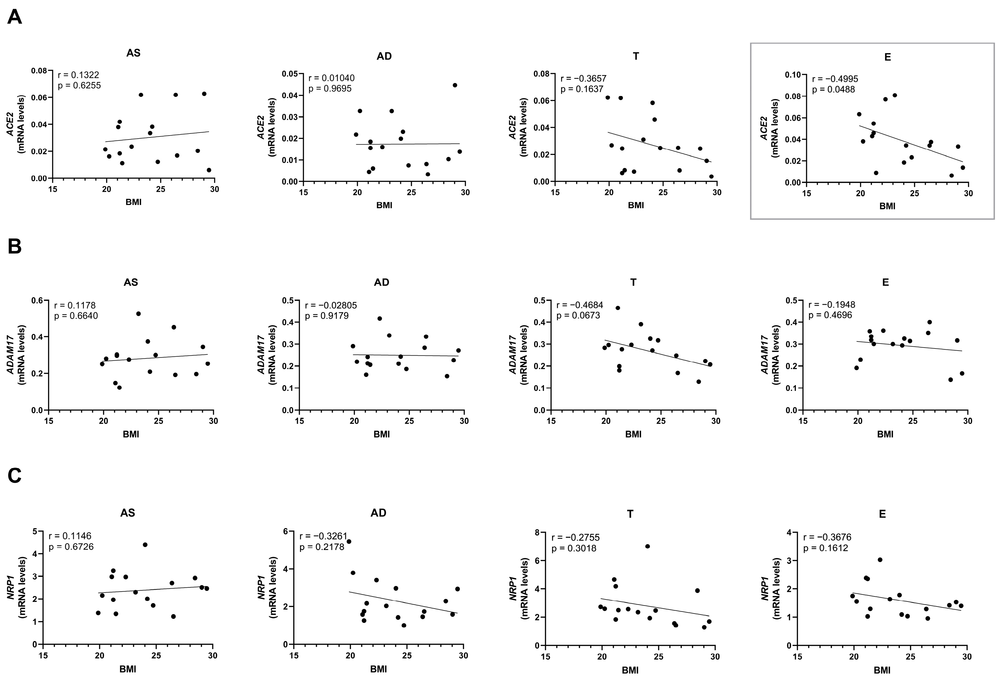 Ijms 26 07313 g005 Ijms 26 07313 g005