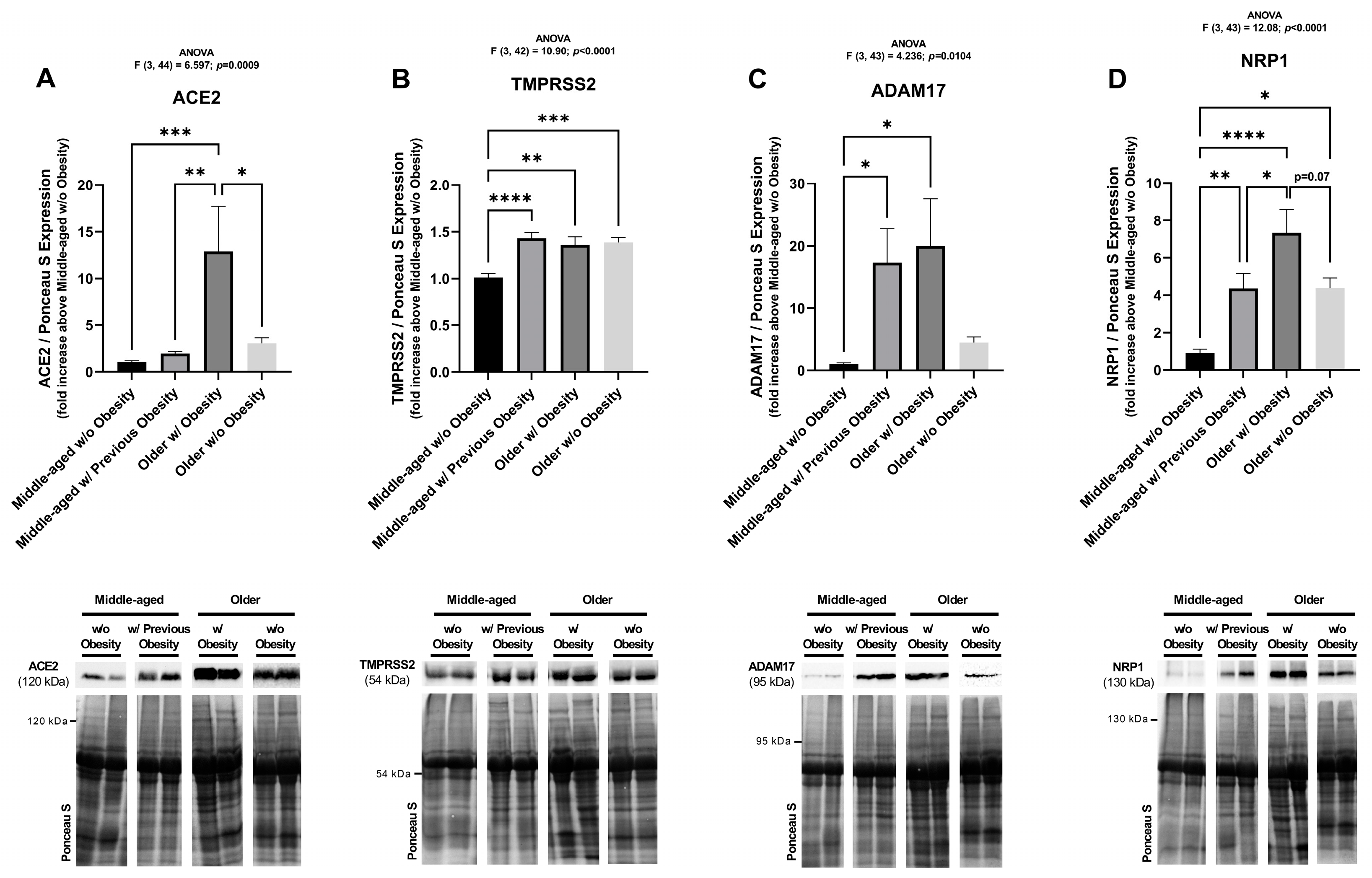 Ijms 26 07313 g006 Ijms 26 07313 g006