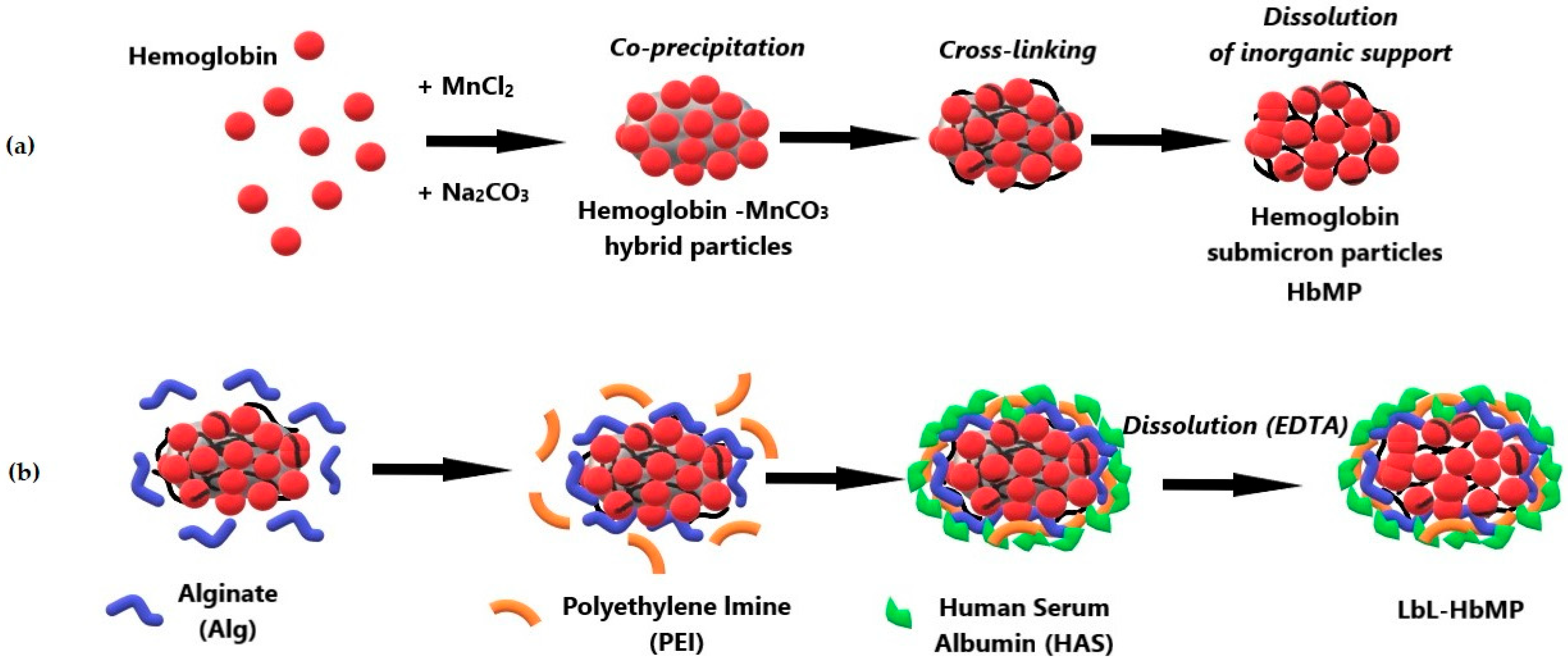 Ijms 26 07341 sch001