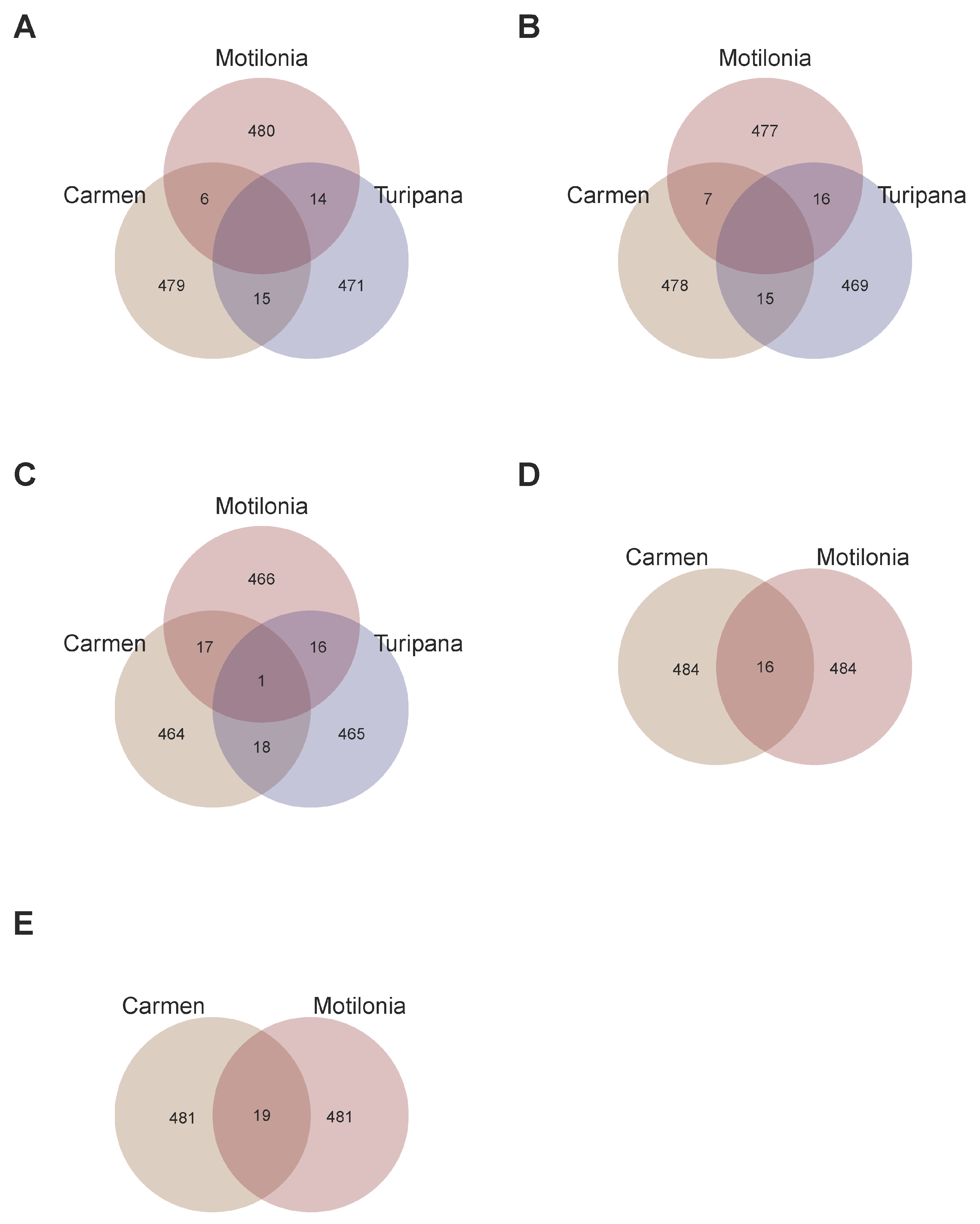 Ijms 26 07370 g003 Ijms 26 07370 g003