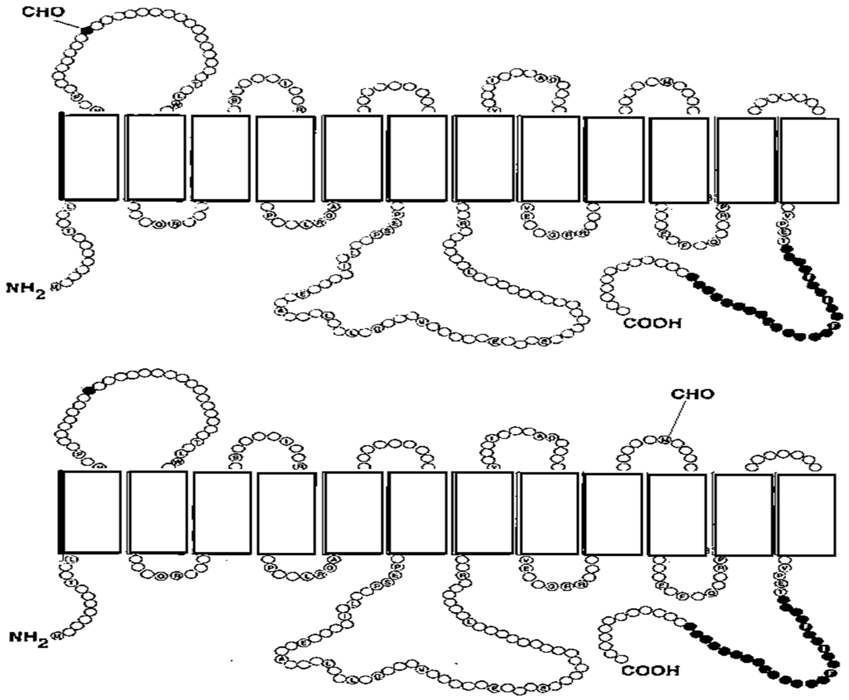 Ijms 26 07392 g001 Ijms 26 07392 g001