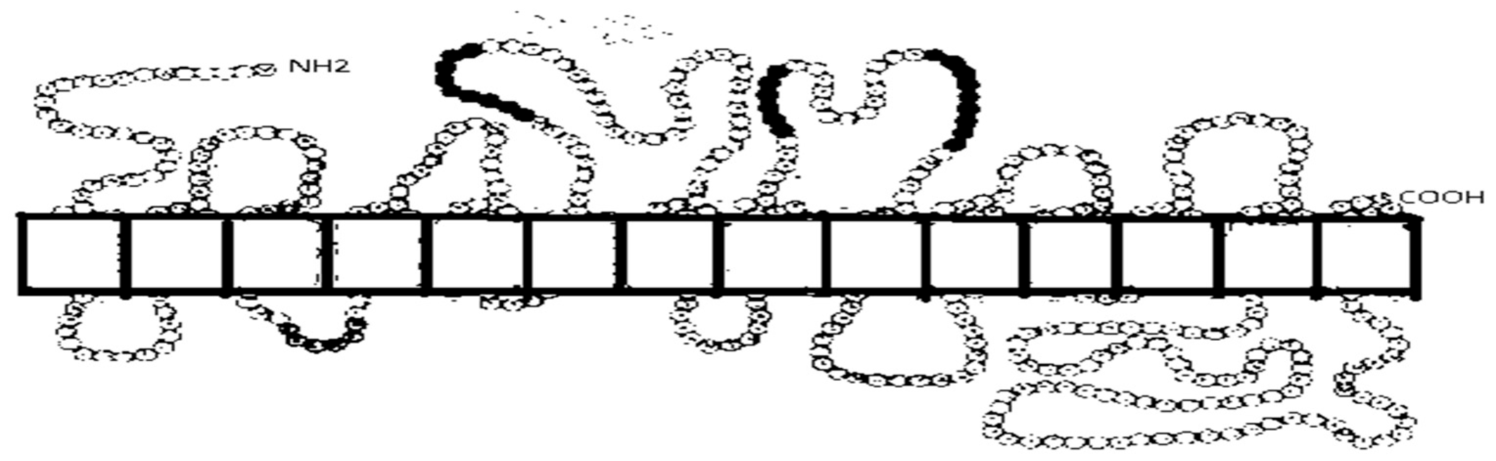 Ijms 26 07392 g002 Ijms 26 07392 g002