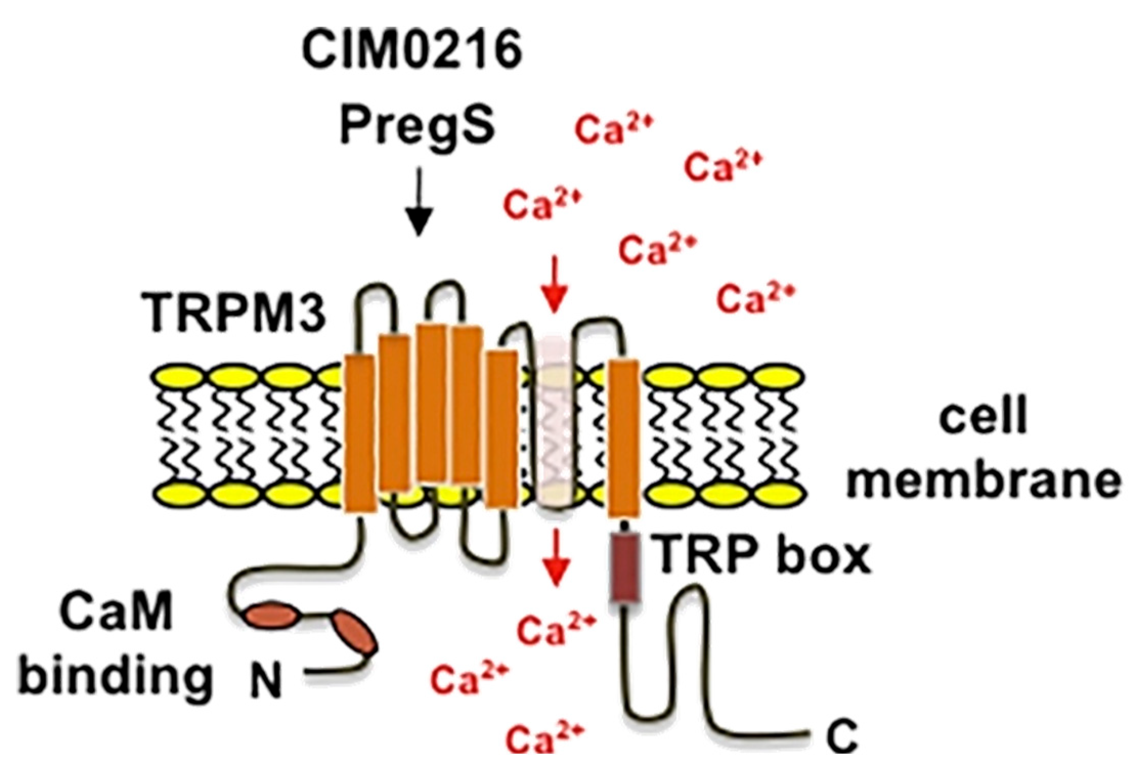 Ijms 26 07393 g005 Ijms 26 07393 g005