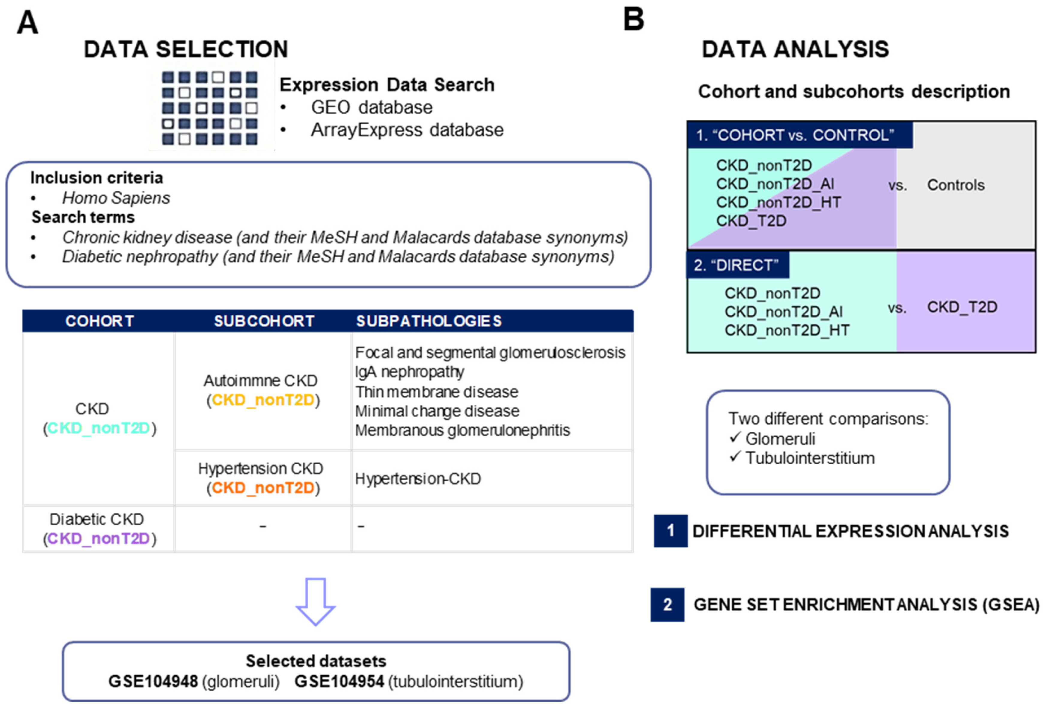 Ijms 26 07421 g001 Ijms 26 07421 g001