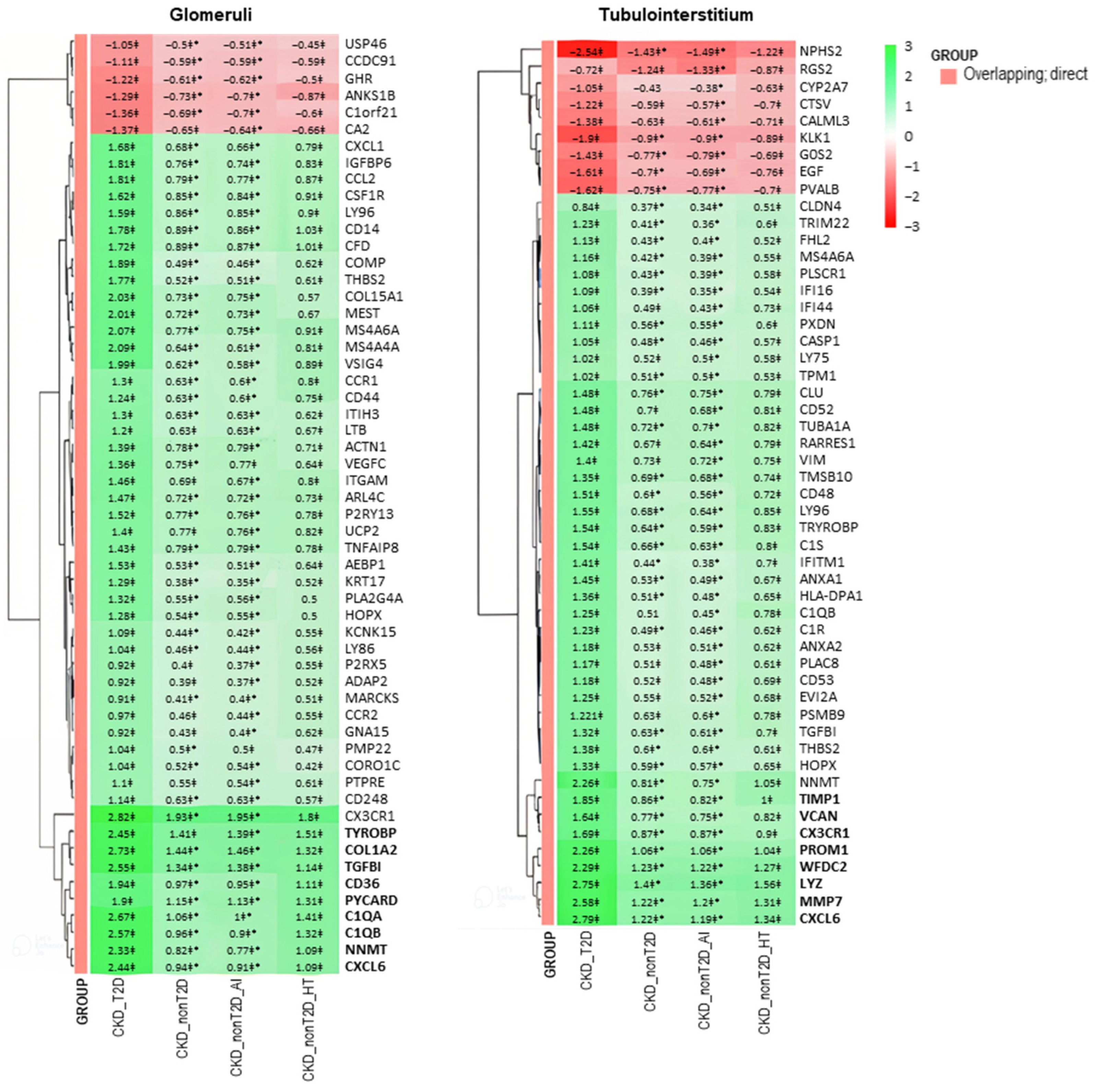 Ijms 26 07421 g004 Ijms 26 07421 g004