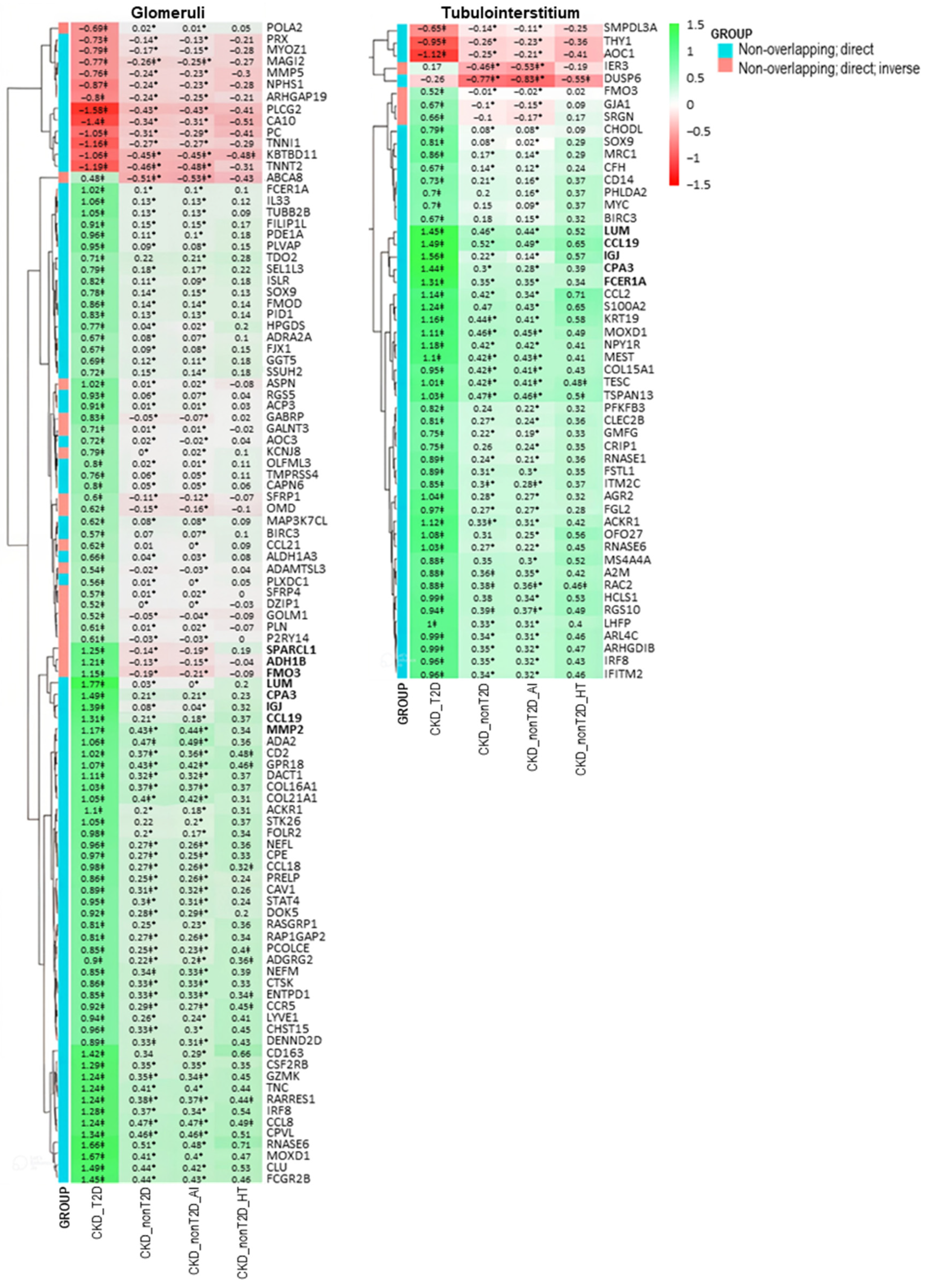 Ijms 26 07421 g005 Ijms 26 07421 g005