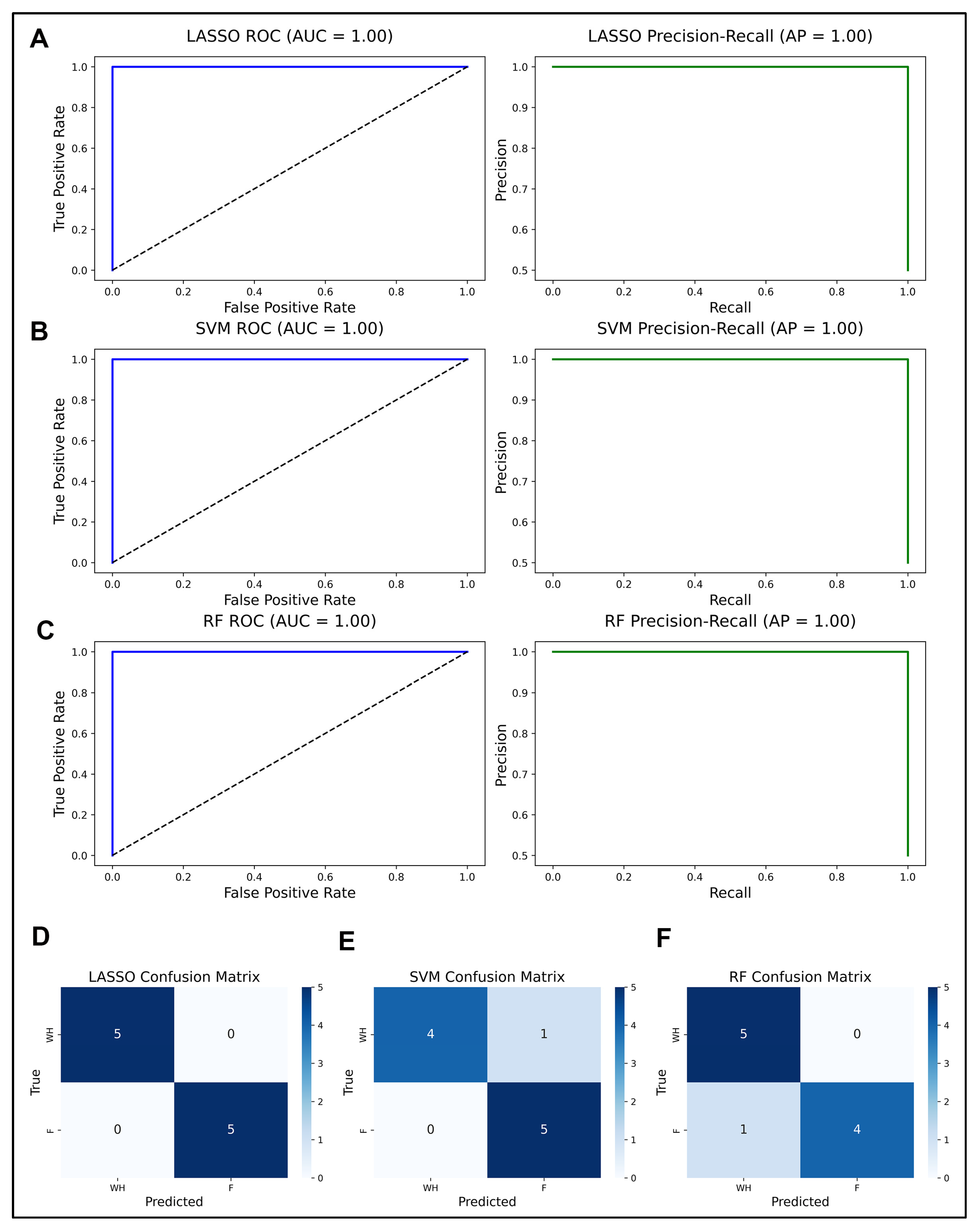 Ijms 26 07422 g003 Ijms 26 07422 g003