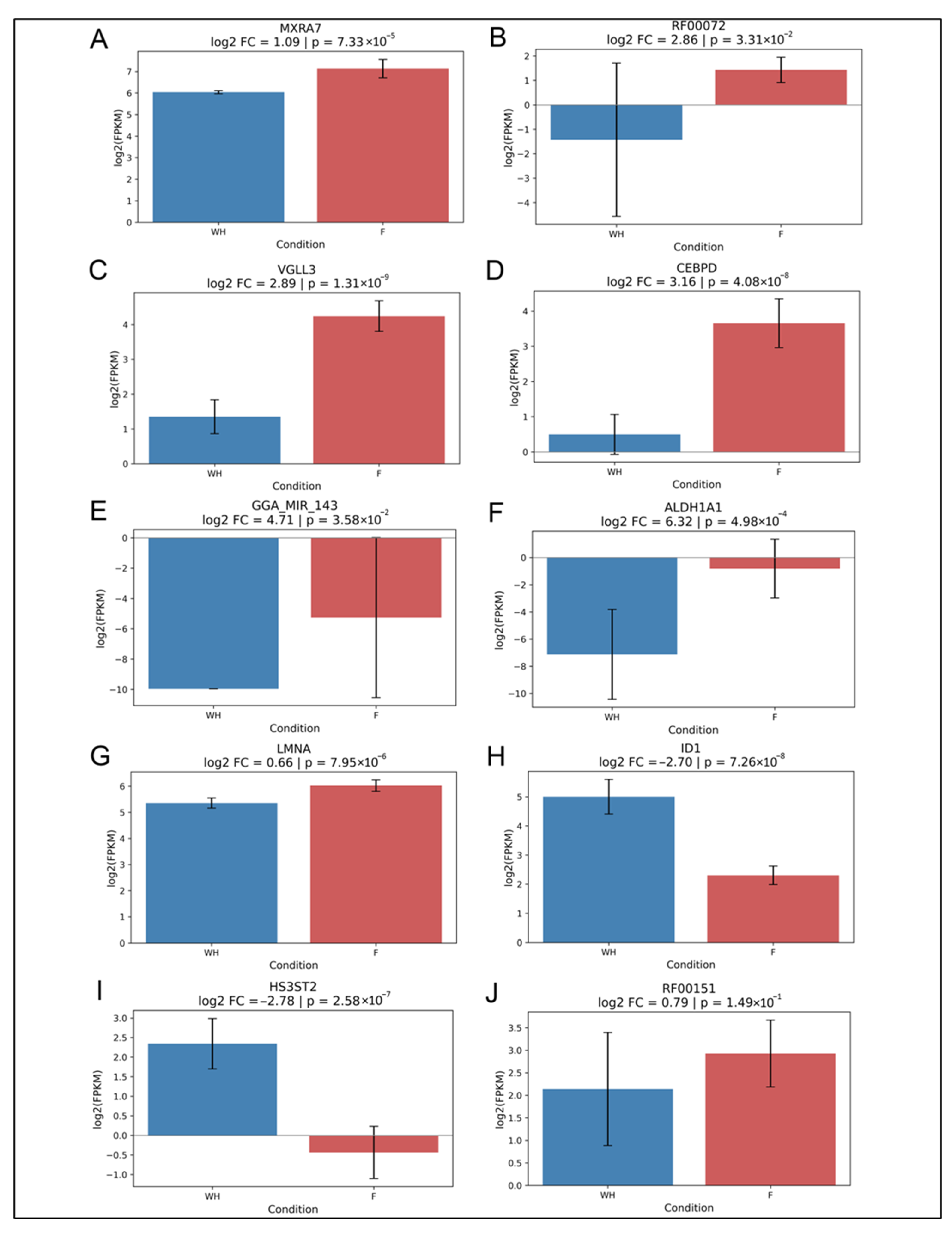 Ijms 26 07422 g006 Ijms 26 07422 g006