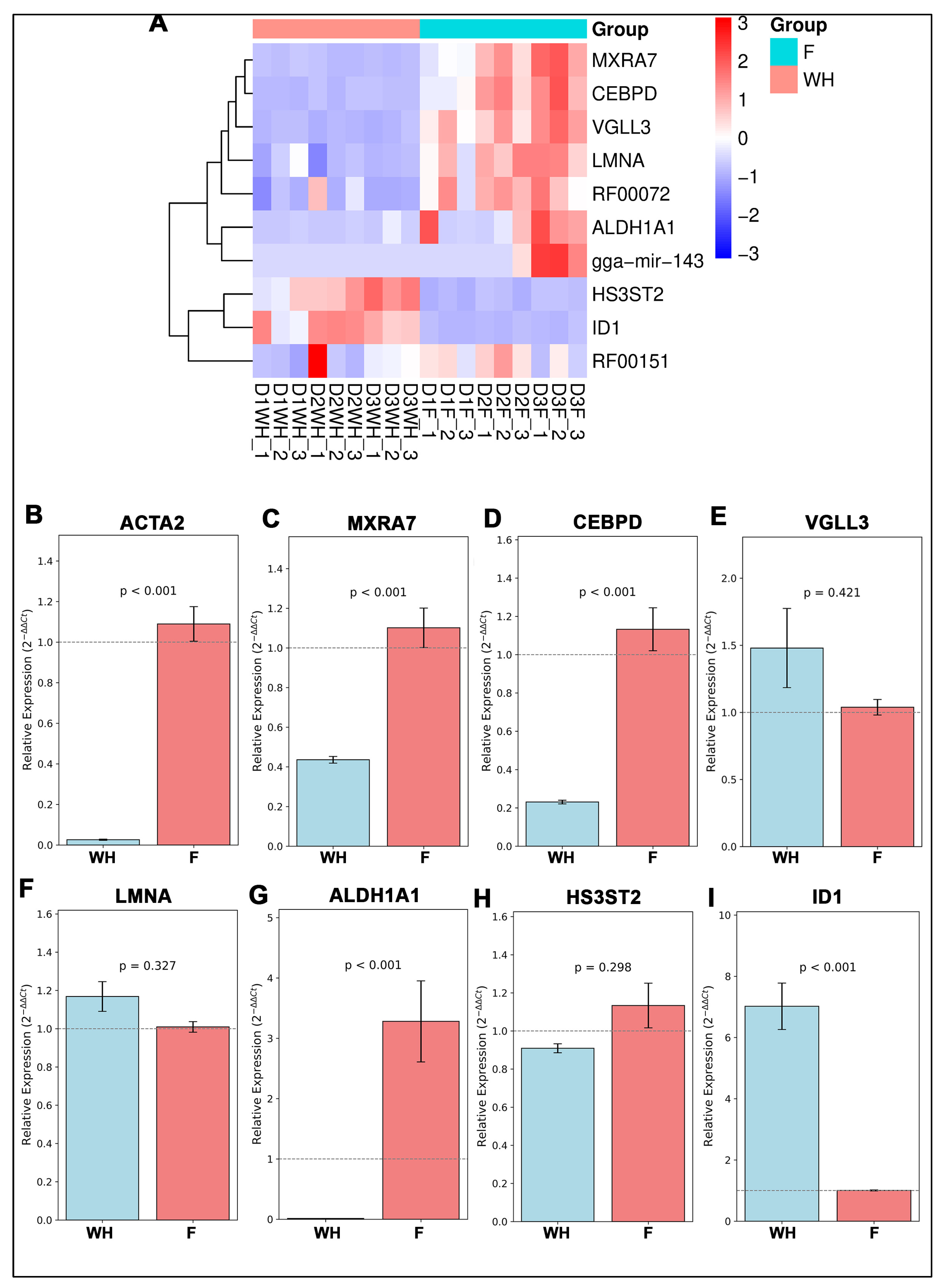 Ijms 26 07422 g007 Ijms 26 07422 g007