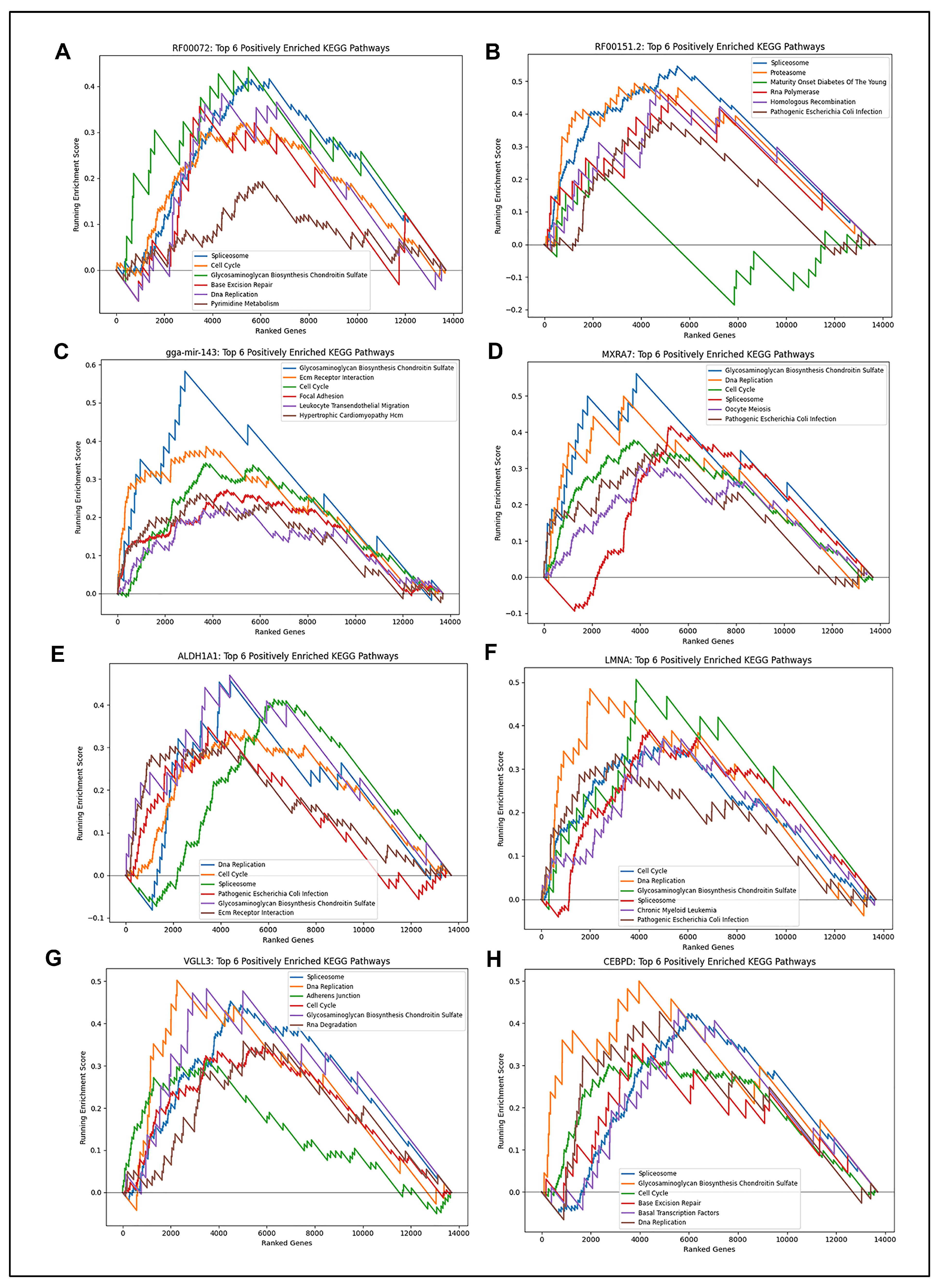 Ijms 26 07422 g009 Ijms 26 07422 g009