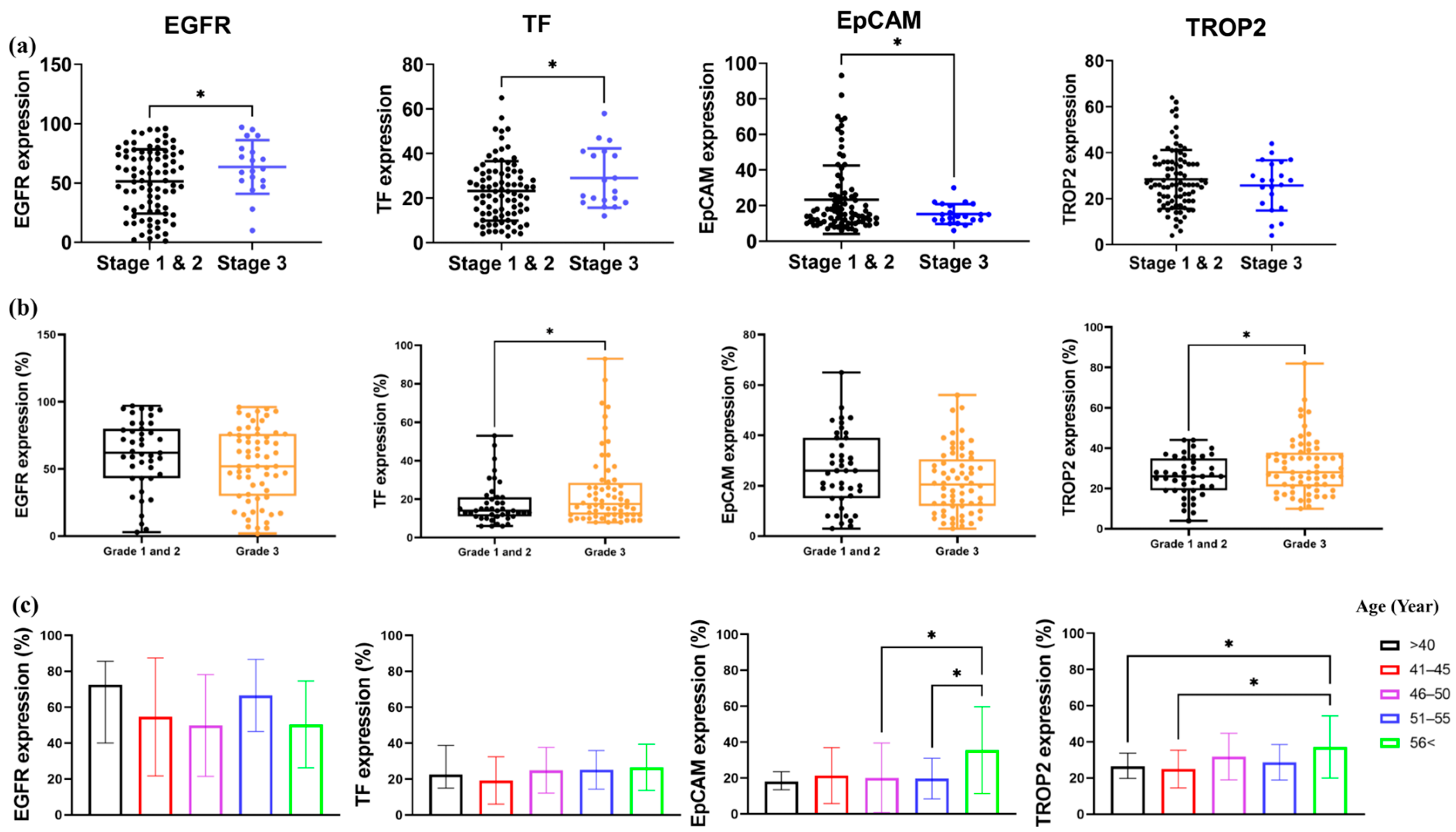 Ijms 26 07430 g003 Ijms 26 07430 g003