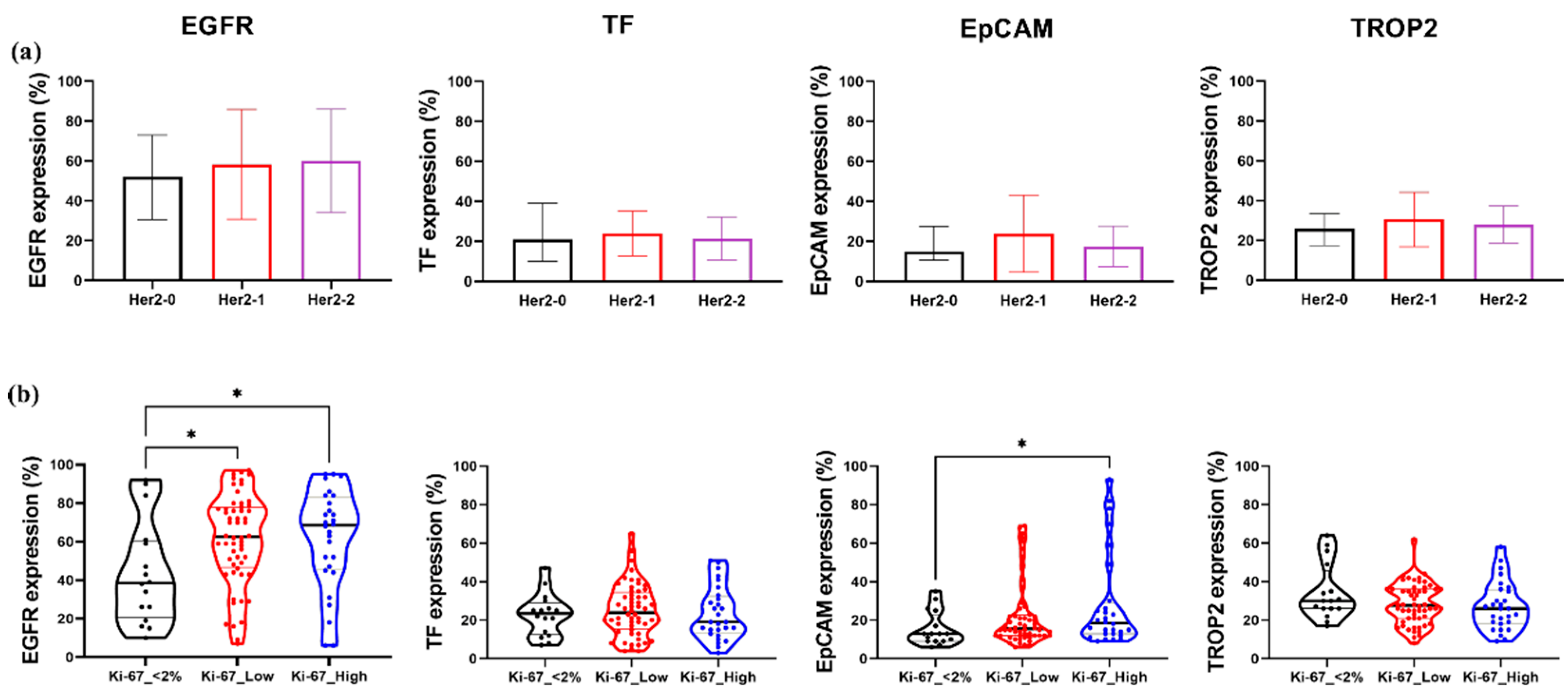 Ijms 26 07430 g004 Ijms 26 07430 g004